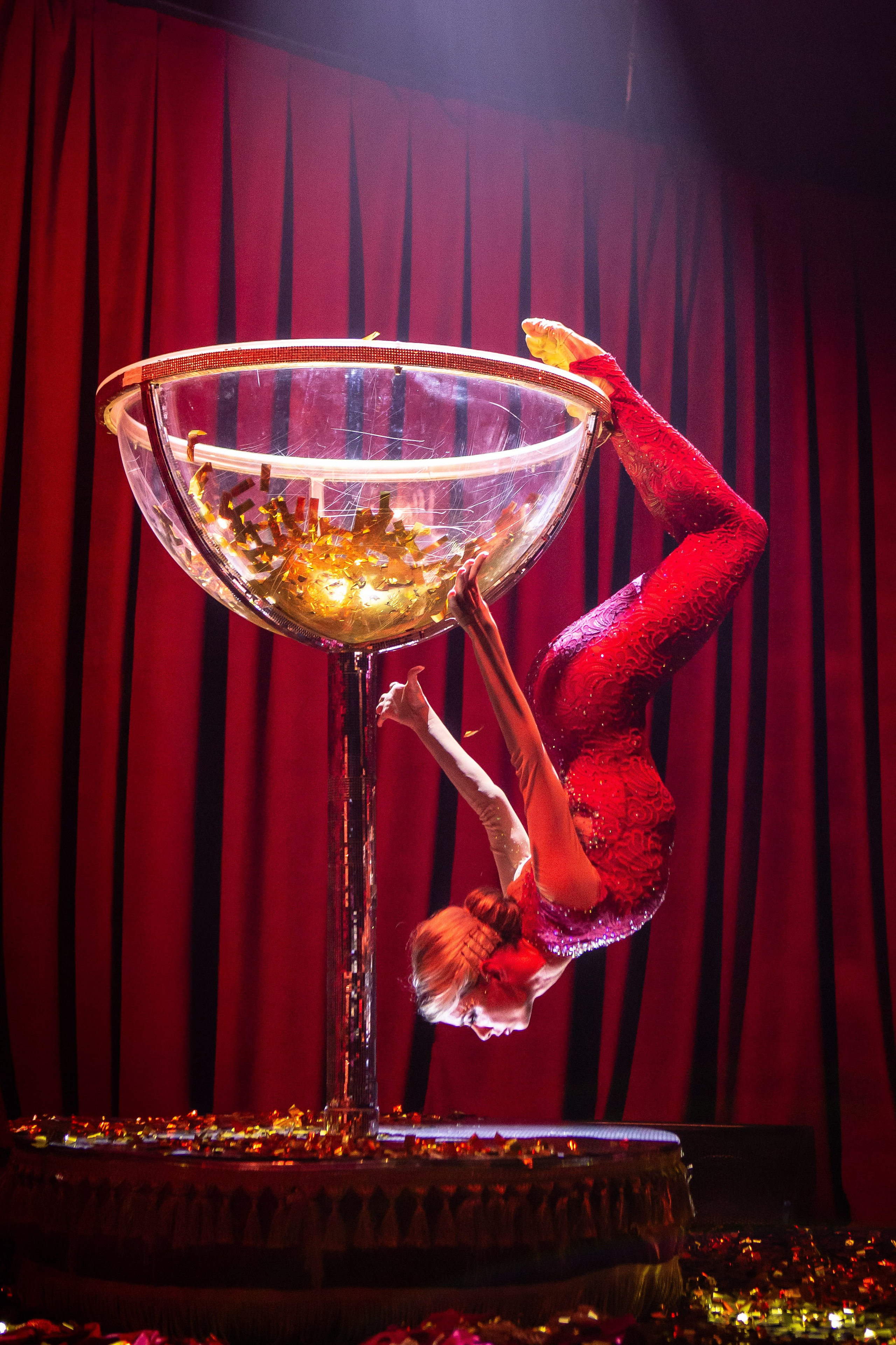 Цирковое шоу. Видеограф Добромыслов