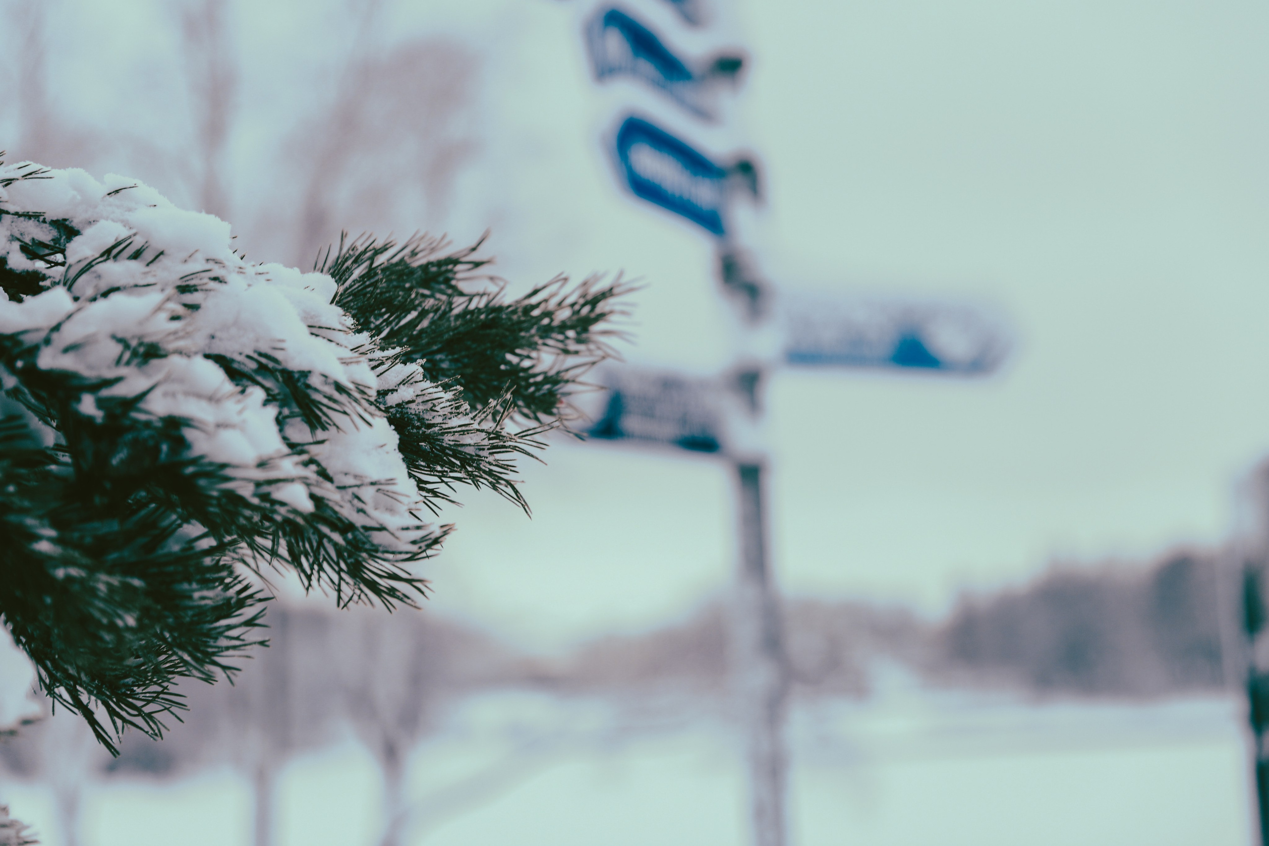 Фото с прогулок и с поездок на Кольский полуостров