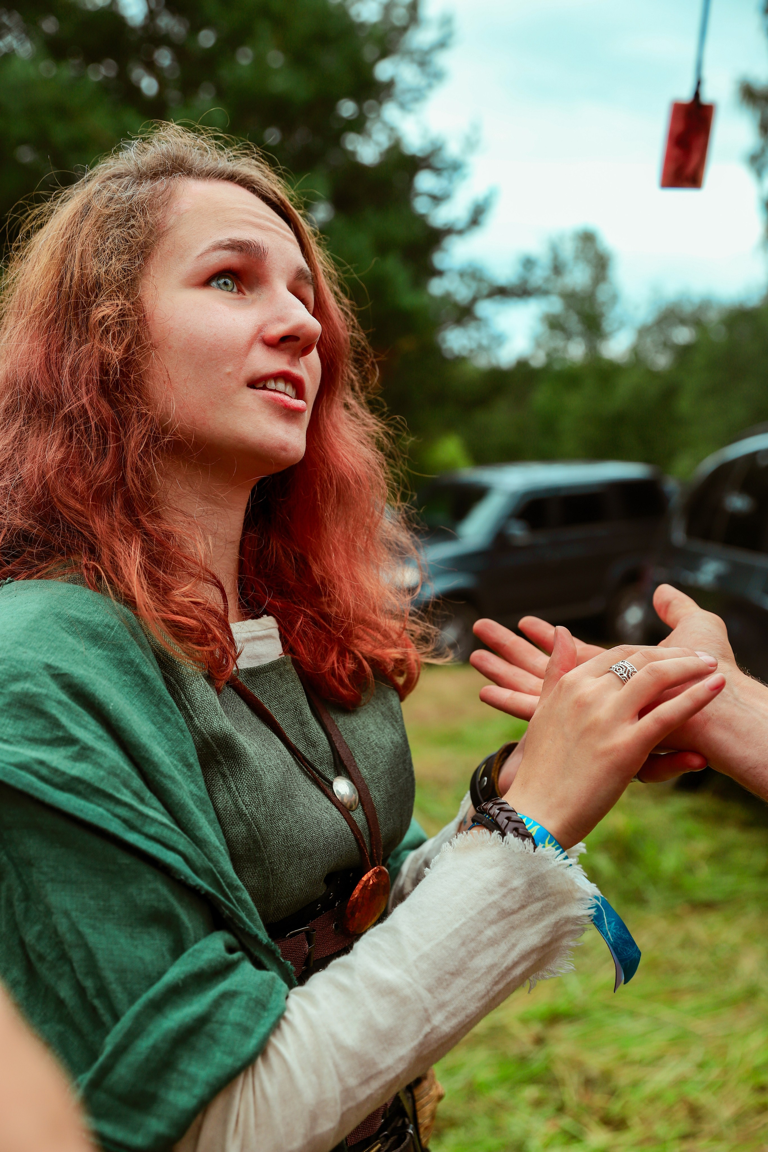 Фестиваль Жива