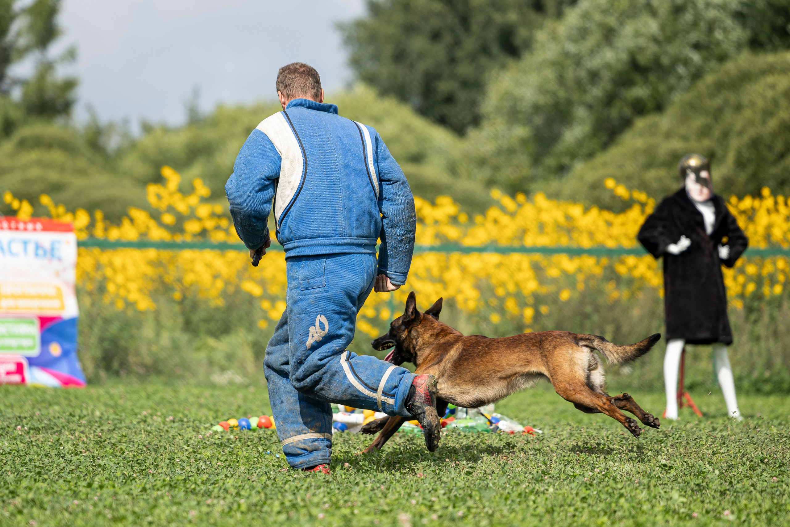 Соревнования по Мондьорингу г. Вологда 10-11.08.2024. Фотограф-анималист Анна Маринич