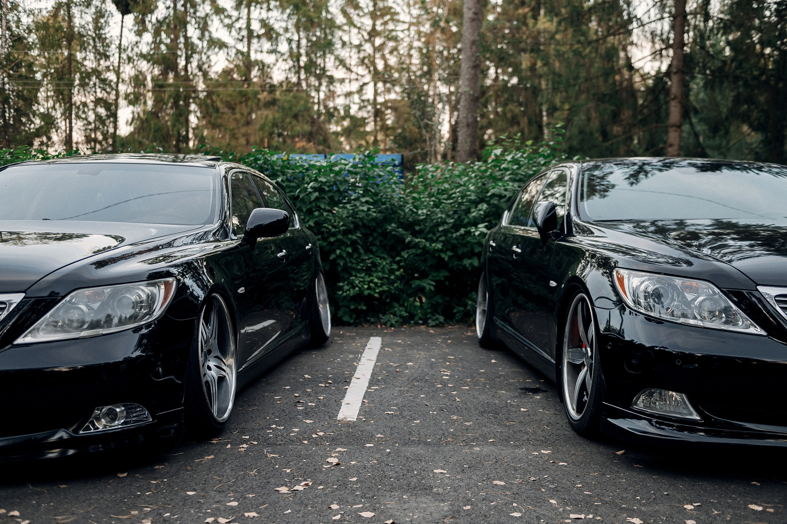 Паша и Настя | P&N. Свадебный фотограф Роман Чигарев