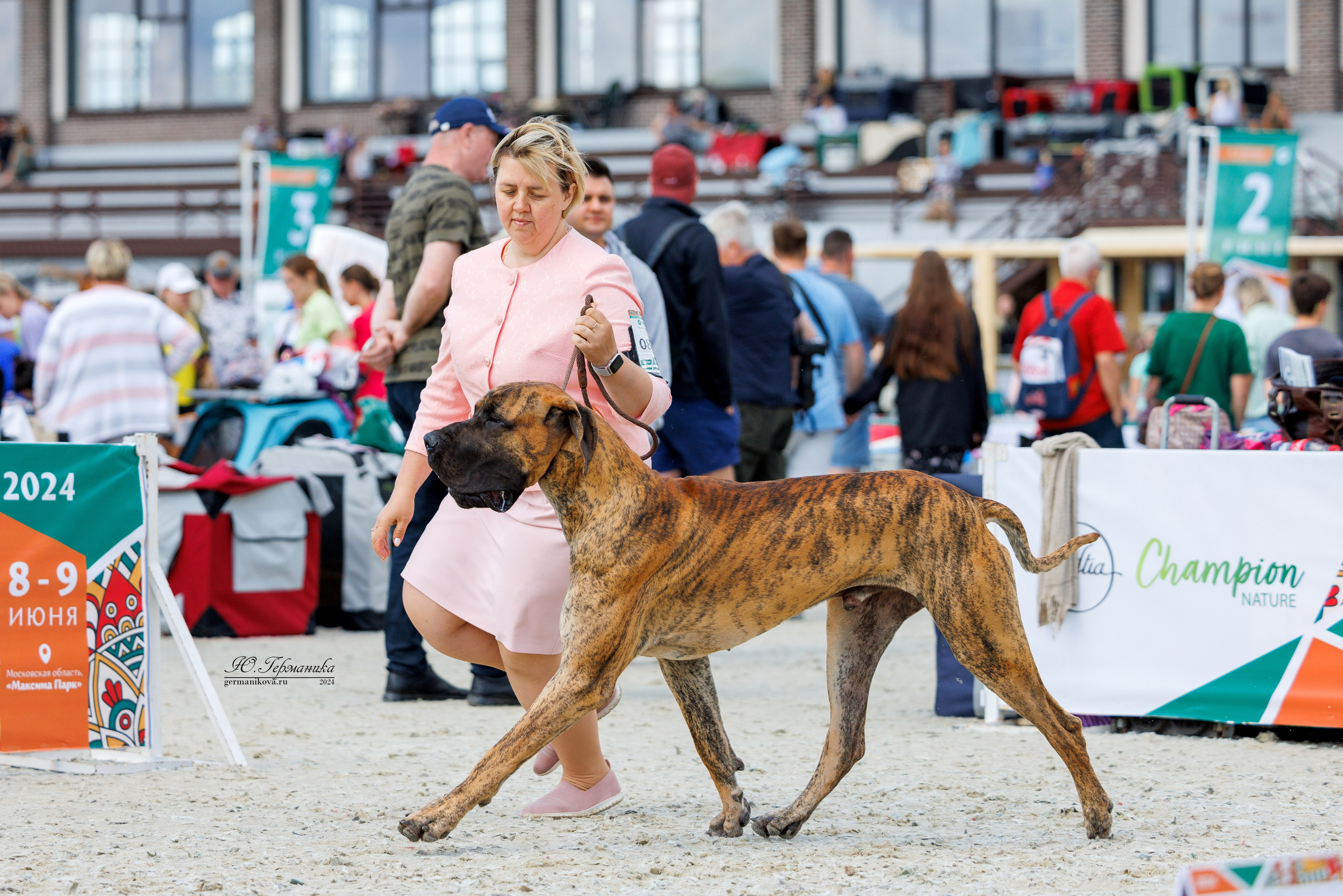 РОССИЯ 8-9.06.2024. Фотограф-анималист Юлия Германика