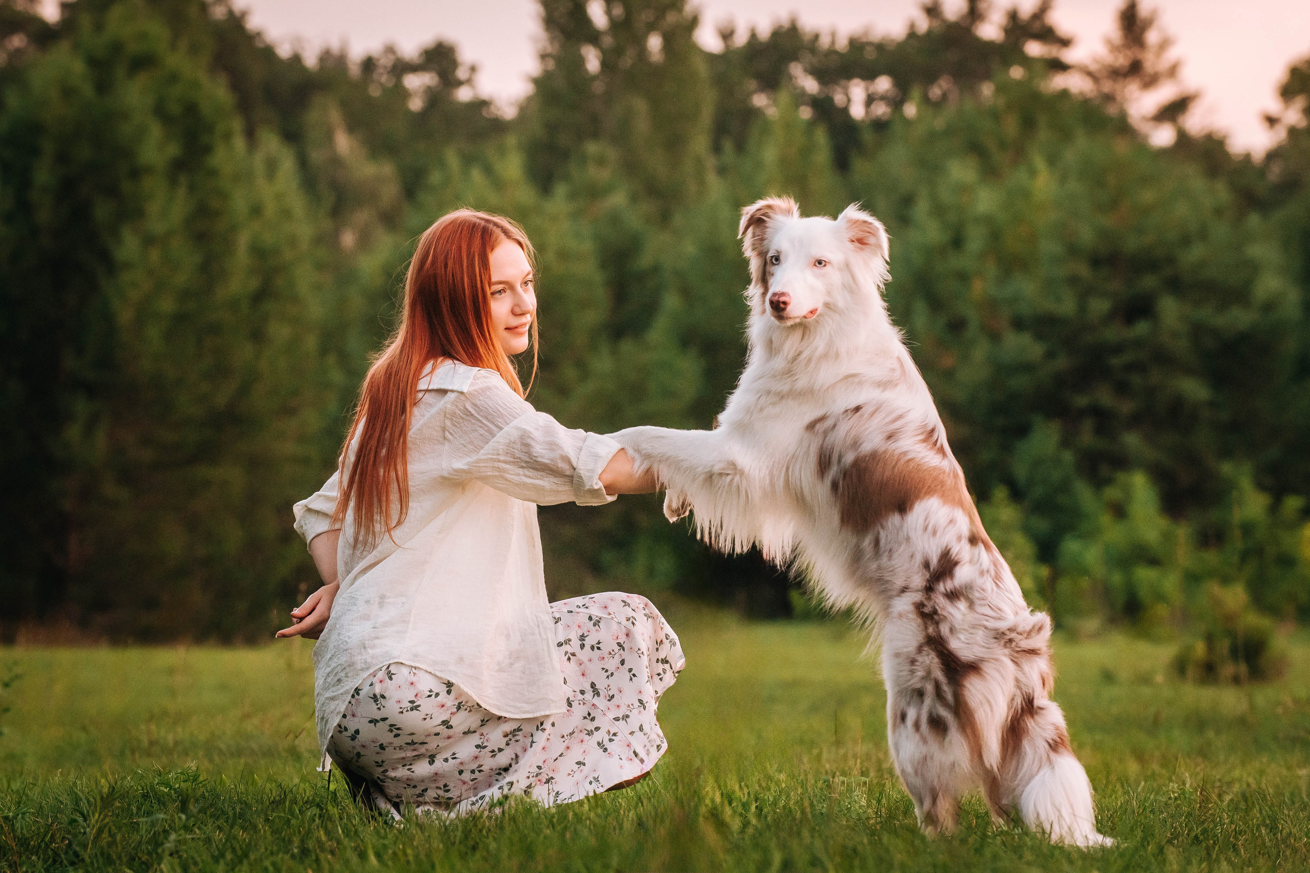 Лиза и Айви. Главная