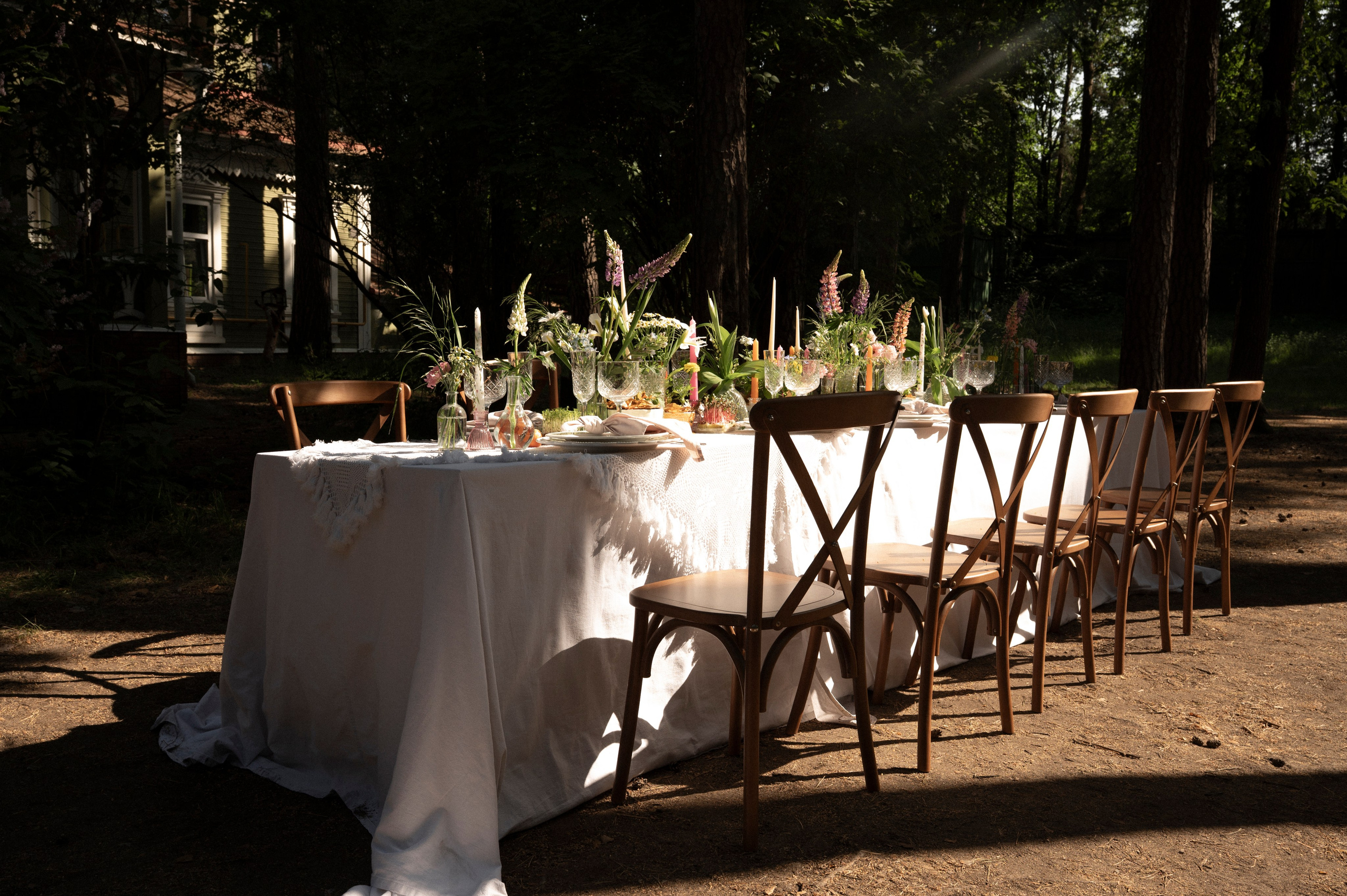 Наше лето. Фотограф Евгения Пронькина