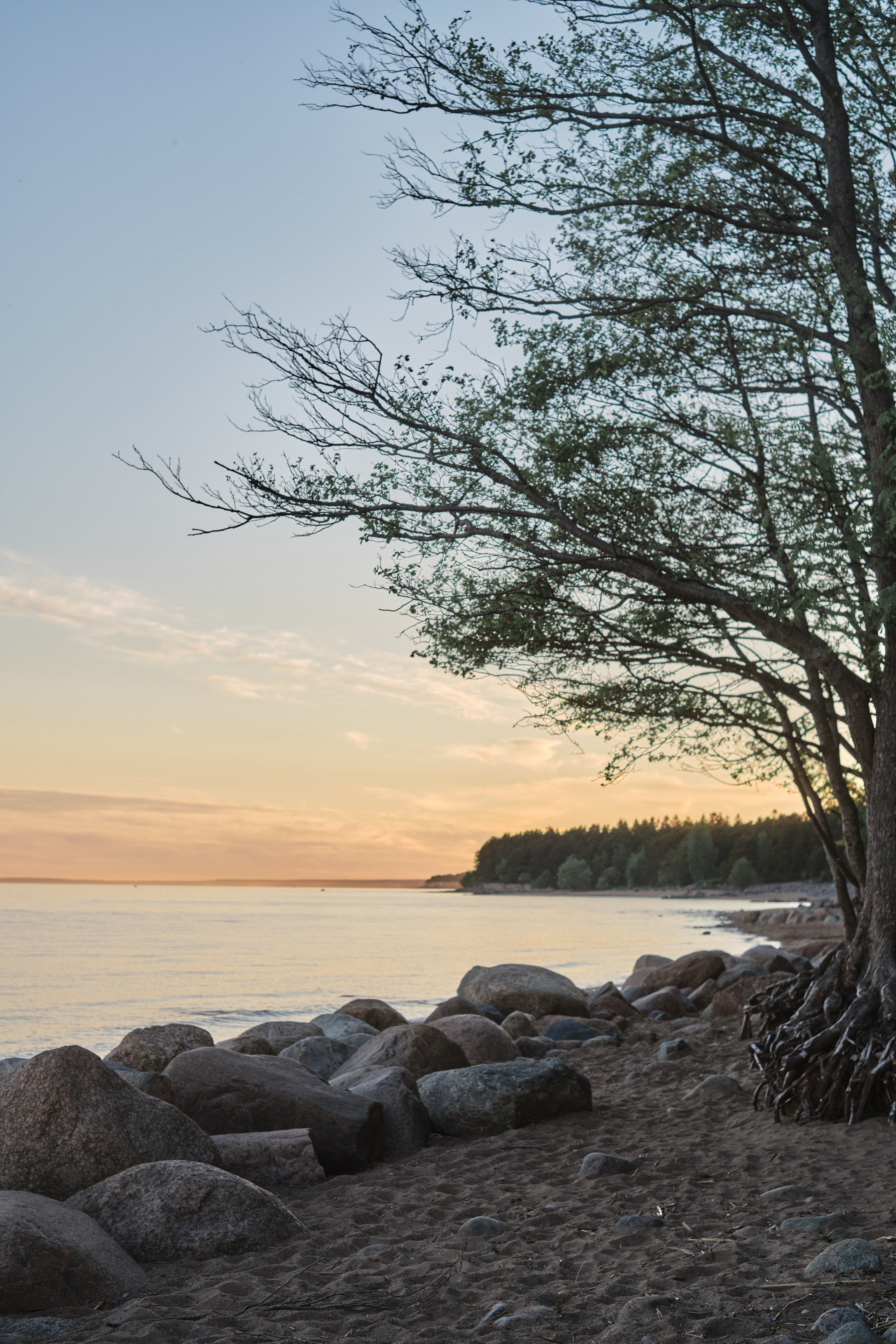 Анна и Дмитрий. Фотограф в Москве и Санкт-Петербурге