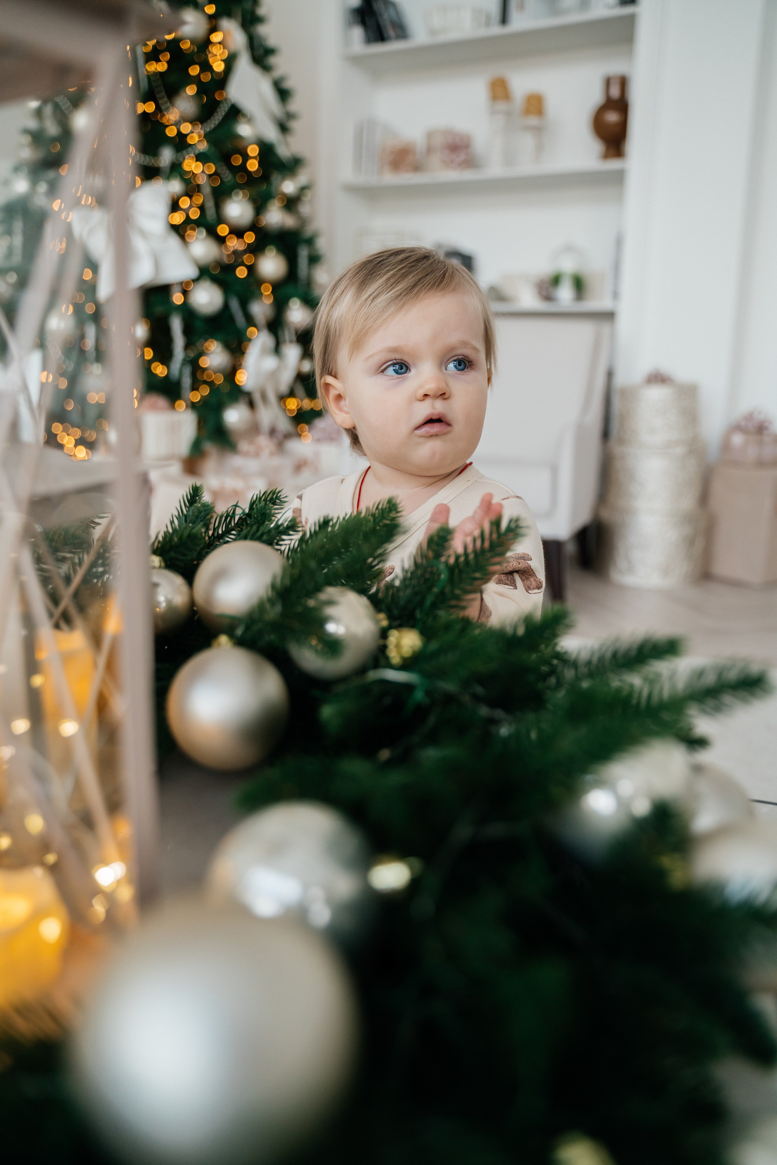 Новогоднее приключение. FotoTanya. Раменское/Жуковский/Бронницы