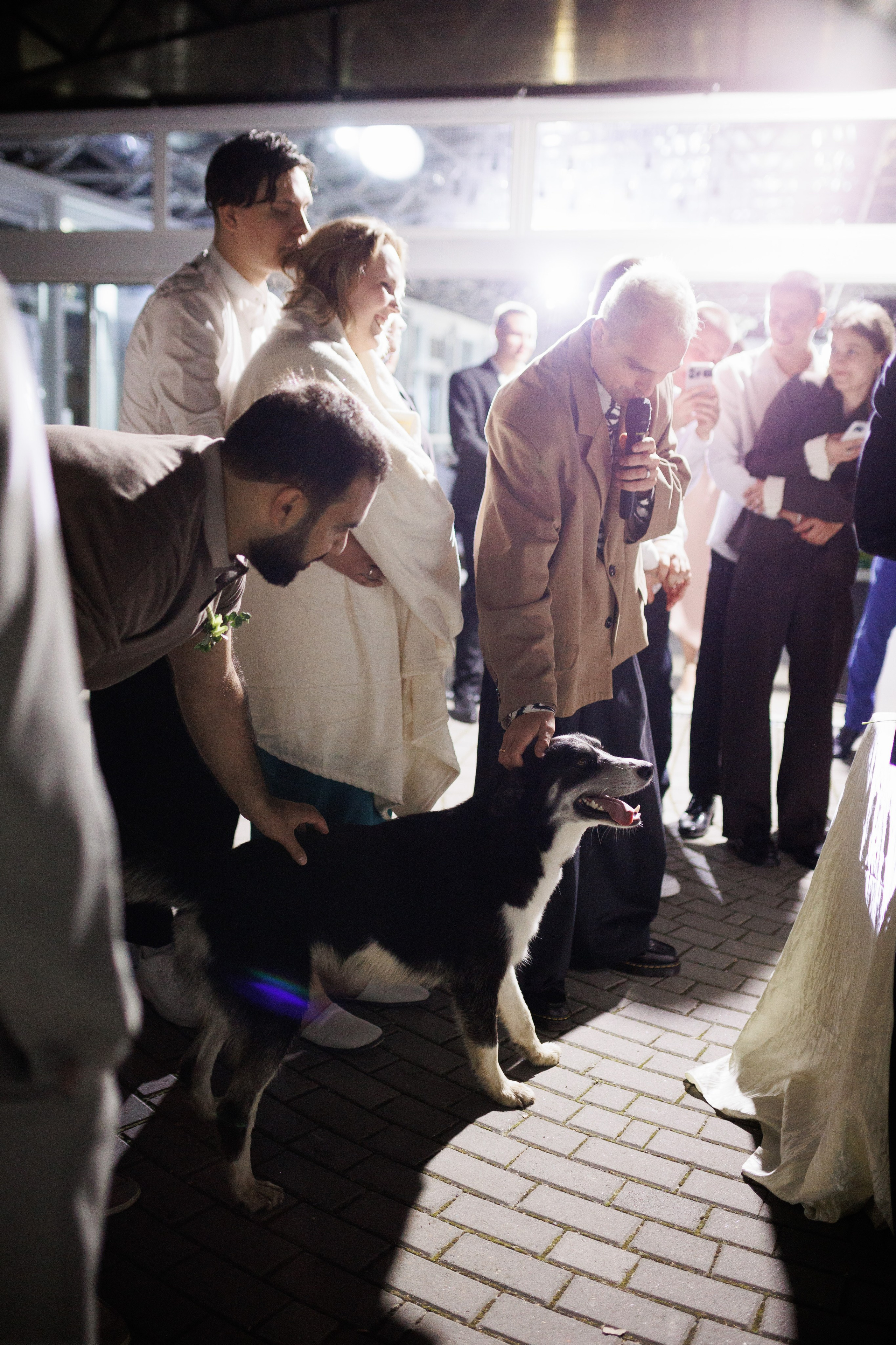 Сентябрь 2025, Белый лис, Выкса. Фотограф городских и семейных событий в Нижнем Новгороде Артем Карпухин
