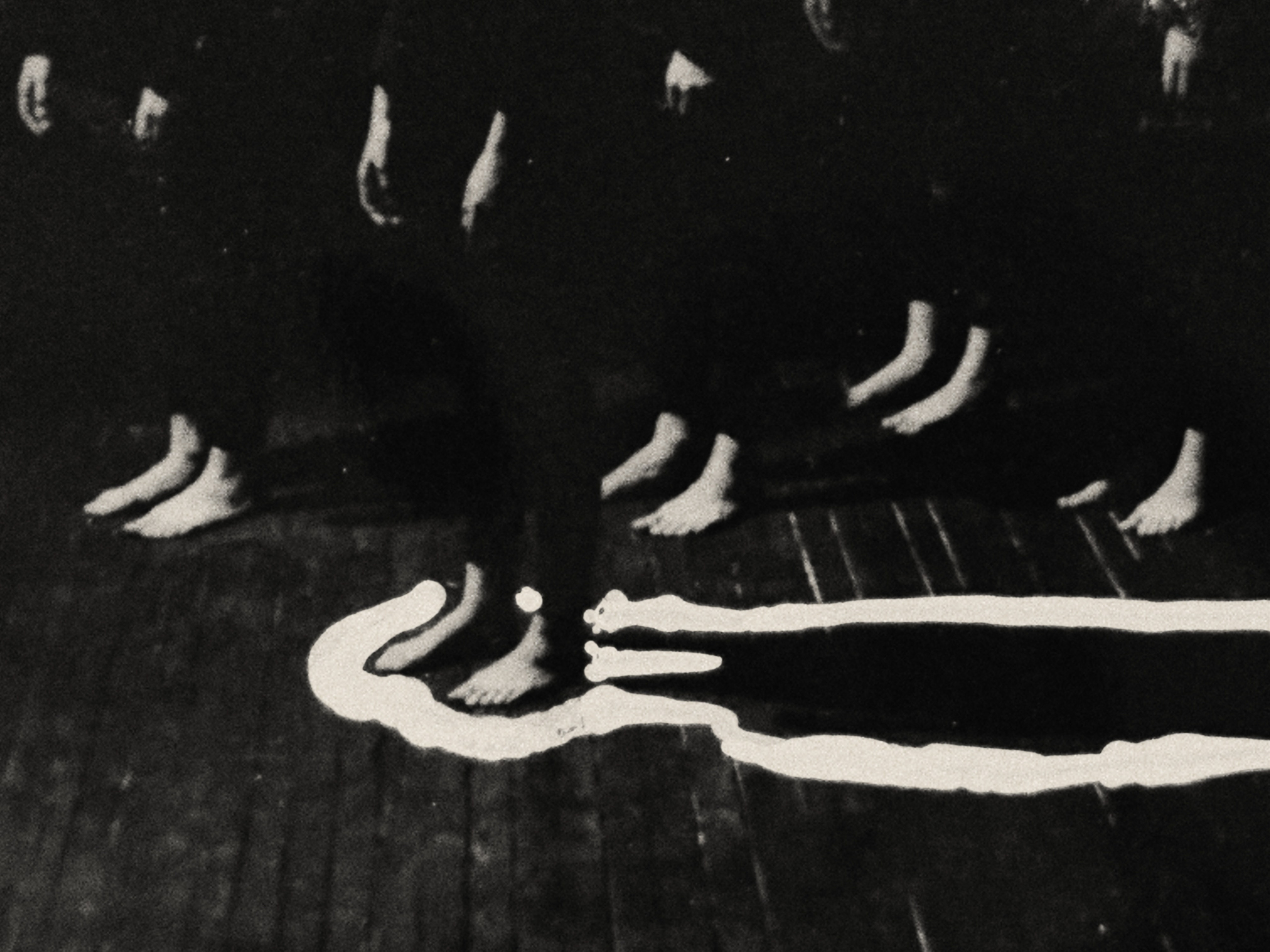 Виолетта Скрипка