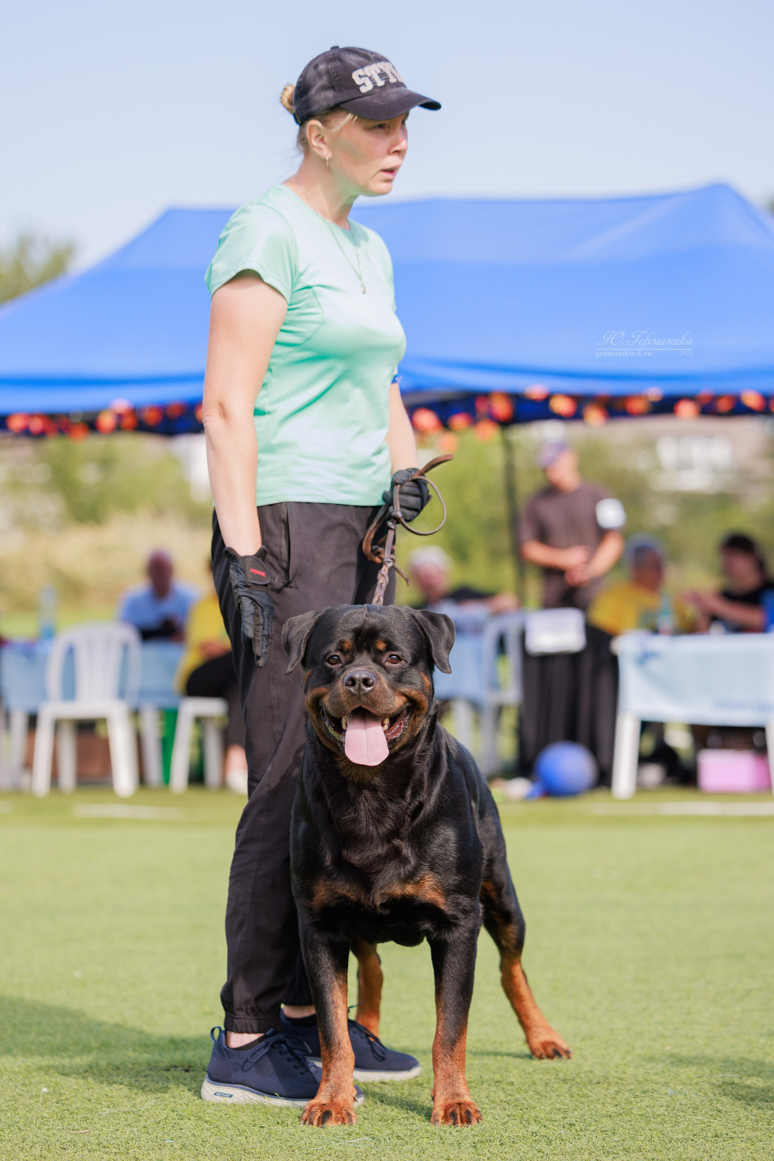 Анапа ротвейлеры 14-15.09.2024. Фотограф-анималист Юлия Германика