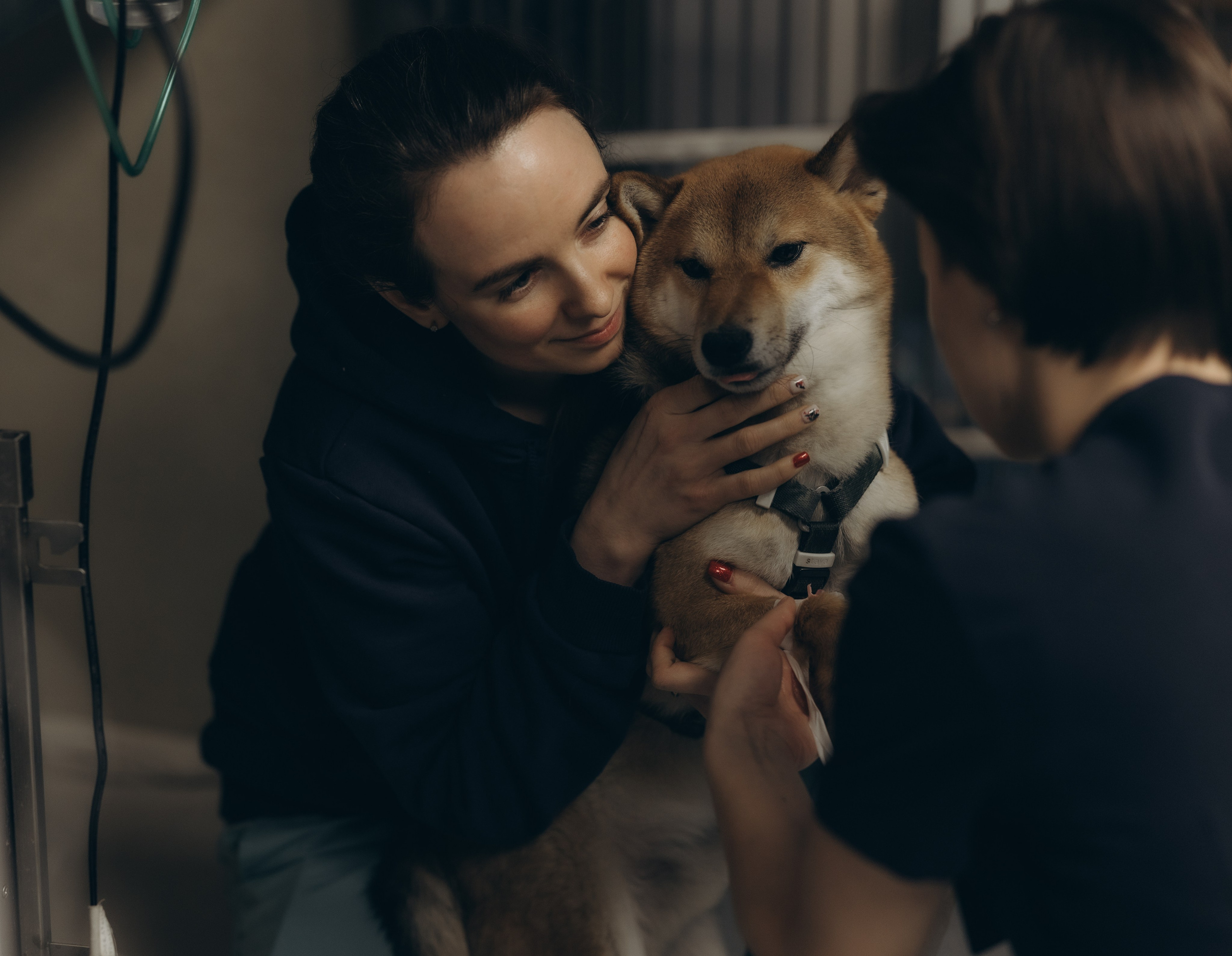 VetLife. Татьяна Афонина | Фотограф