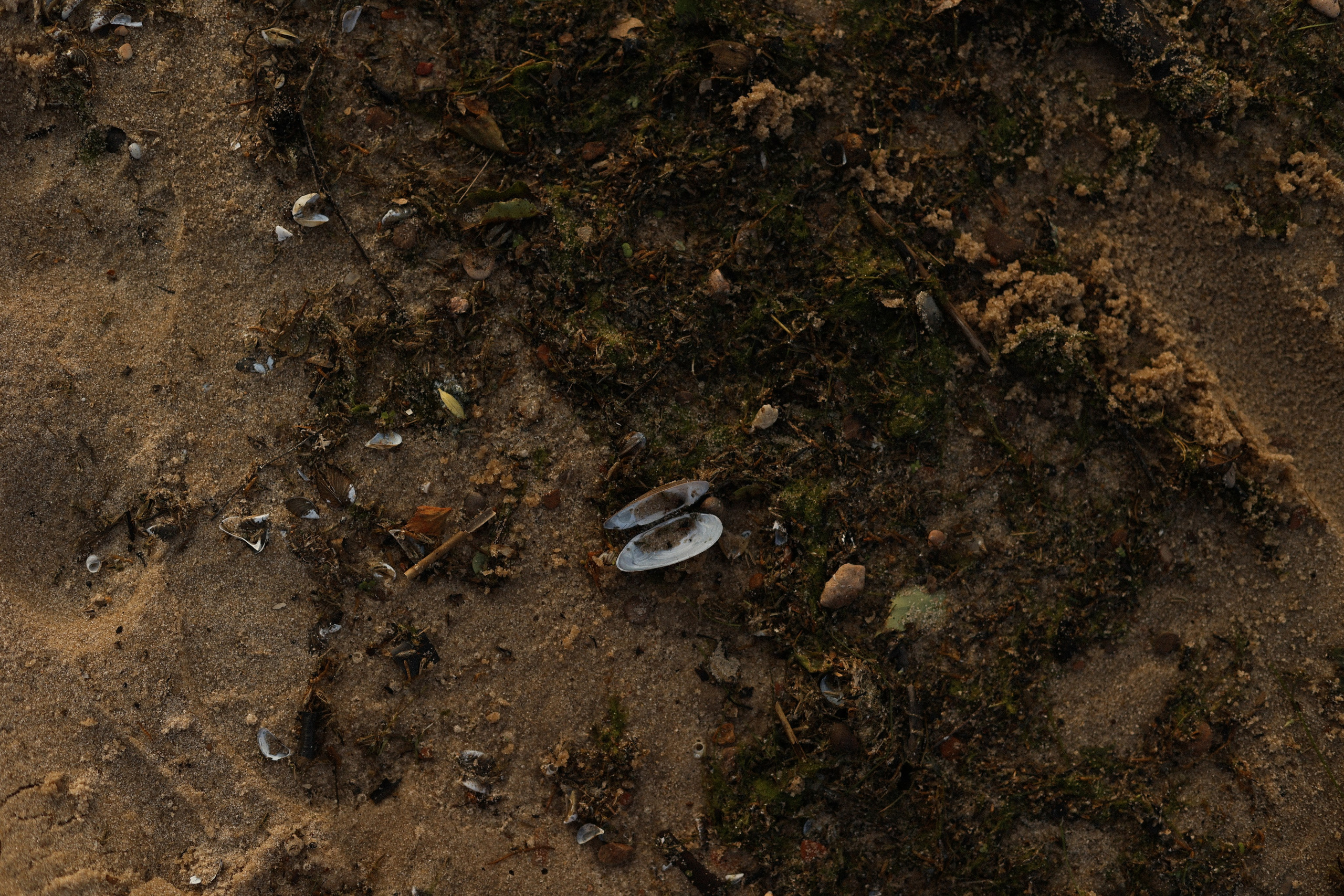 Любовь. Фотограф — Ольга Косолюкина