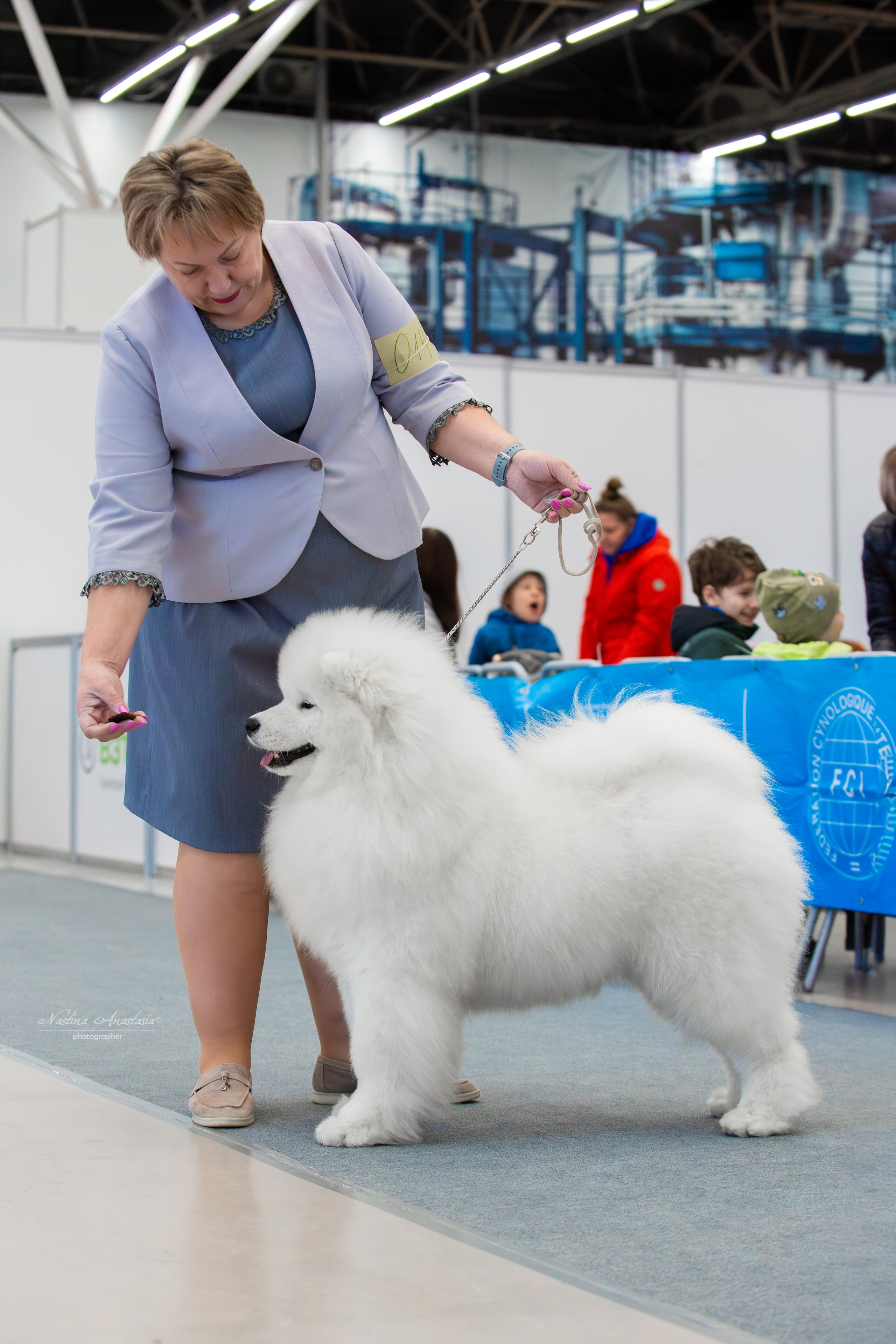 Выставки. Фотограф — Анималист