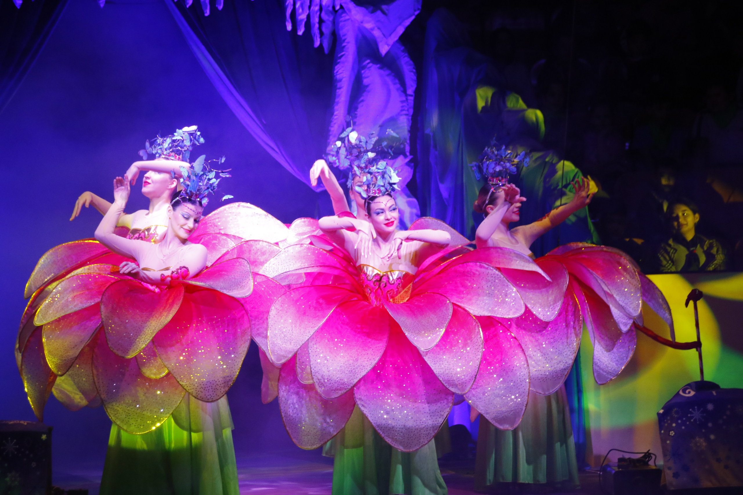 Концерты, спектакли. Репортажный фотограф Анастасия Богданова из Тюмени