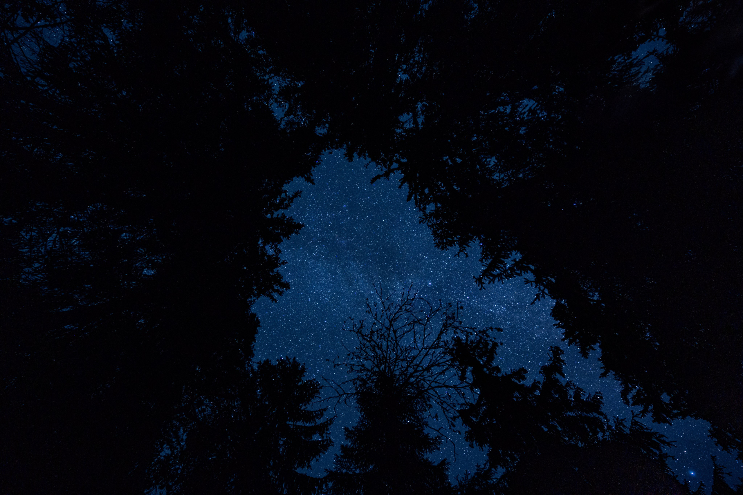 СЕВЕР. Event фотограф Степанова Александра