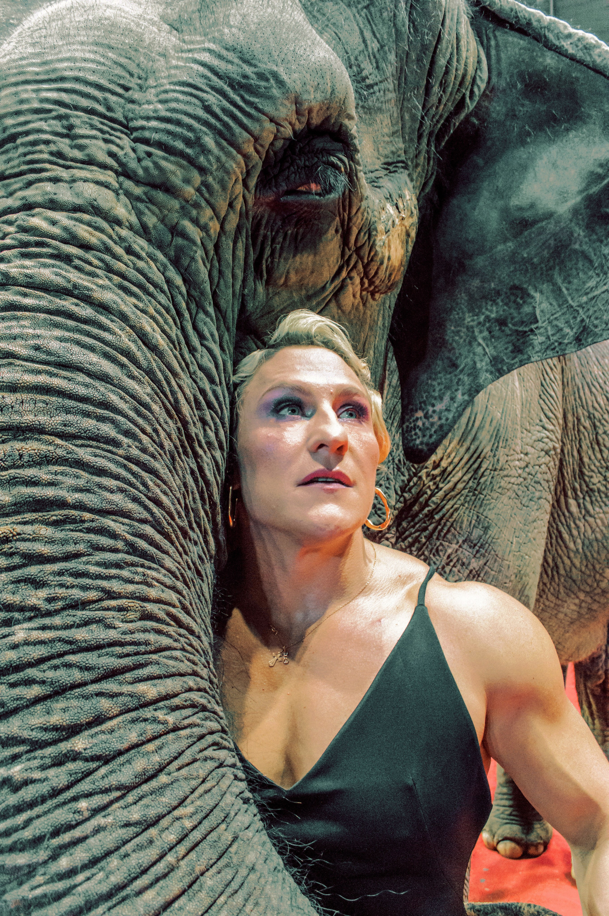 Екатерина. Главная