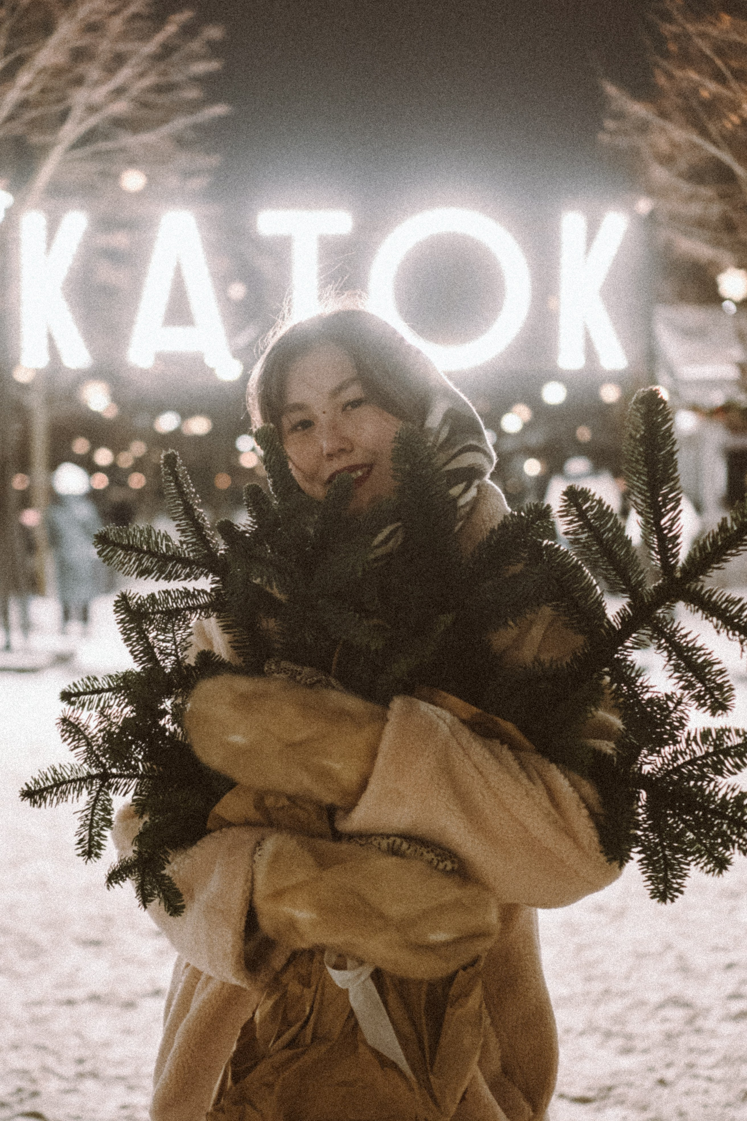 Зимняя сказка в Новой Голандии. Профессиональный фотограф, Санкт-Петербург — Виктория Богомолова