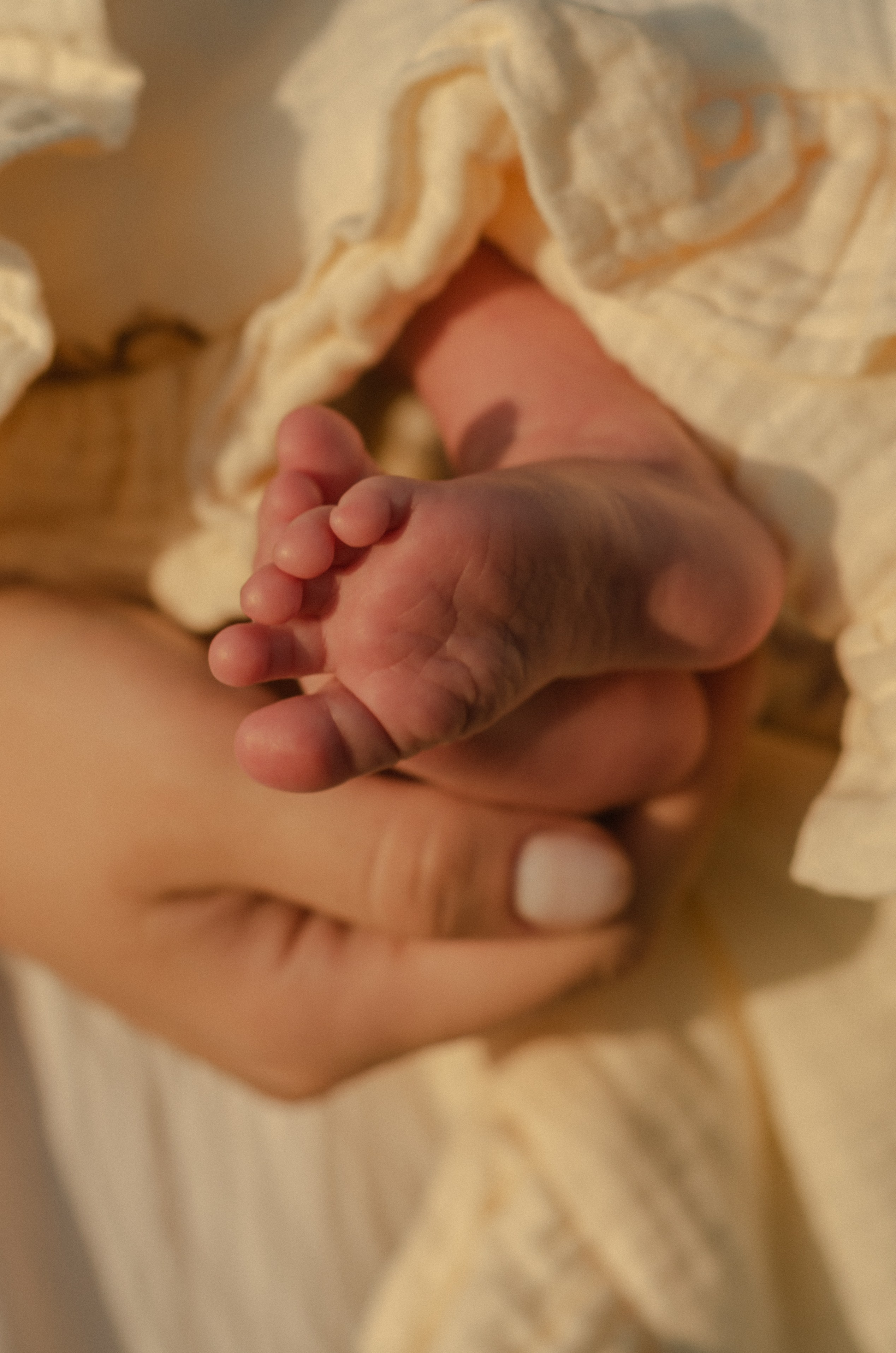 Семейная съемка. Семейный фотограф в Барнауле Ирина Ястребова