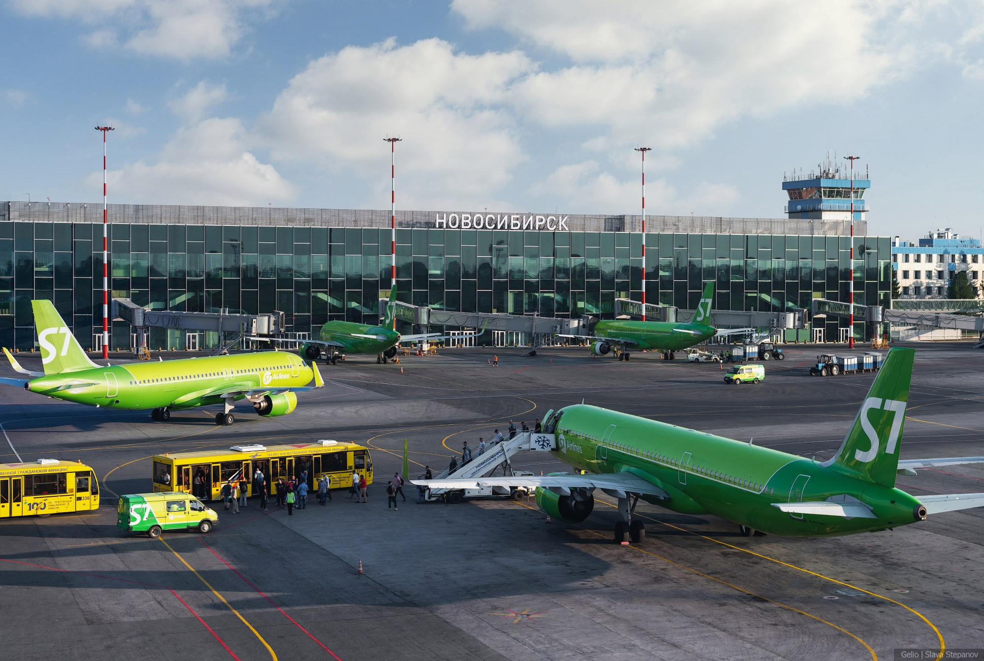 Аваиция. Фотограф Слава Степанов, Gelio