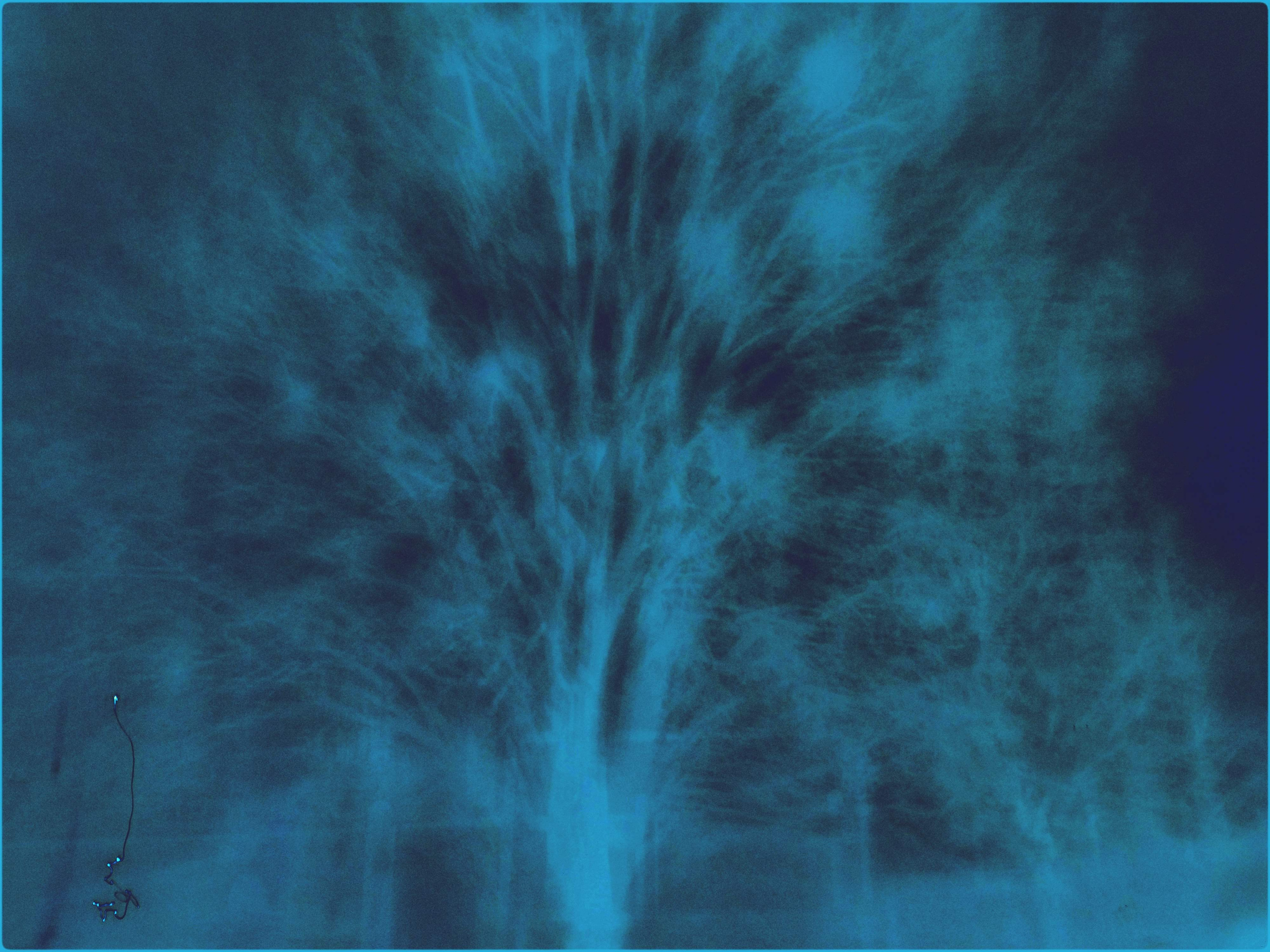 Malamoonki. Катерина Малама арт-фотограф