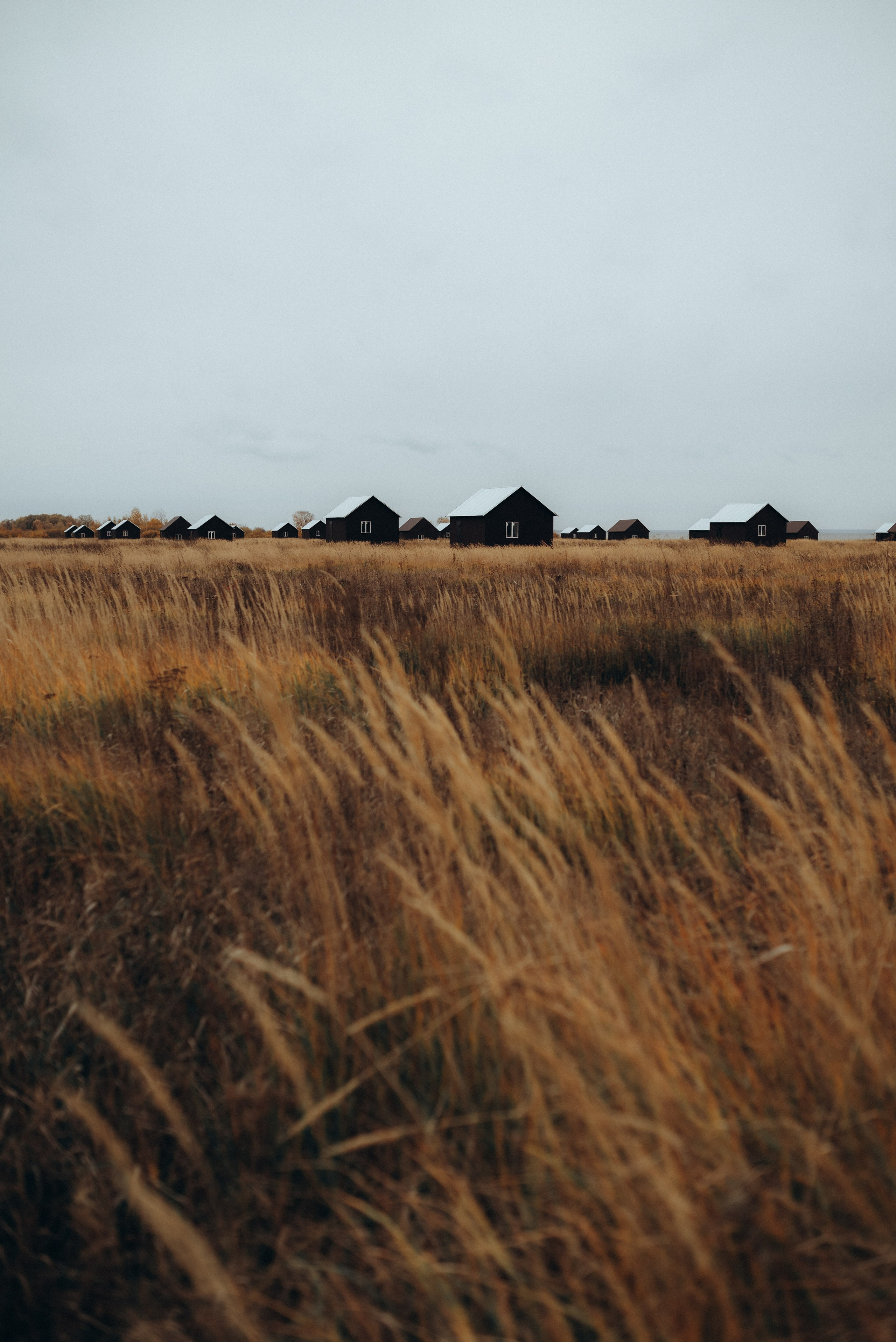 Молодые и влюблённые. Свадебный фотограф Анастасия Бударина