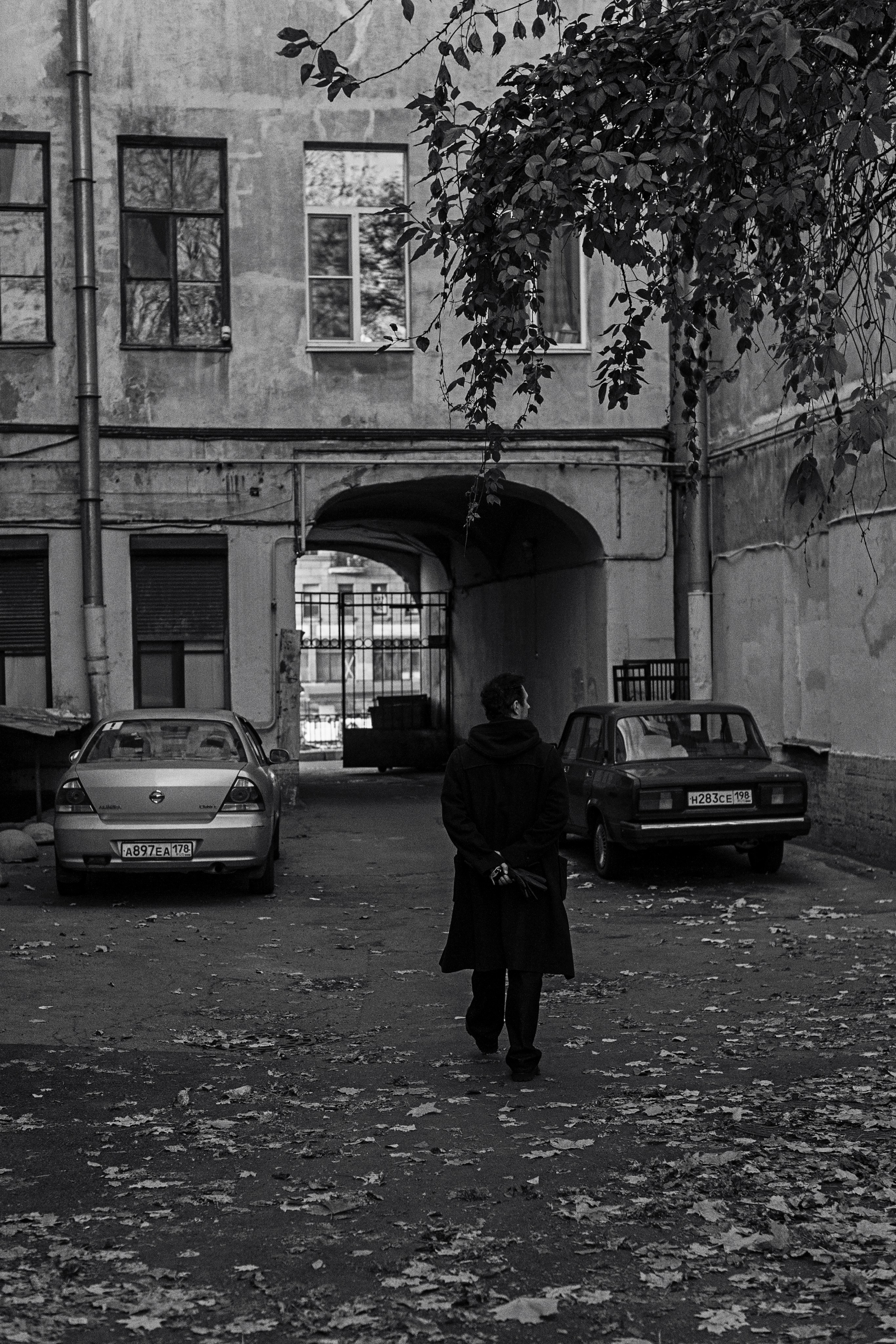 Владимр. Сергей Виноградов фотограф Россия Санкт-Петербург