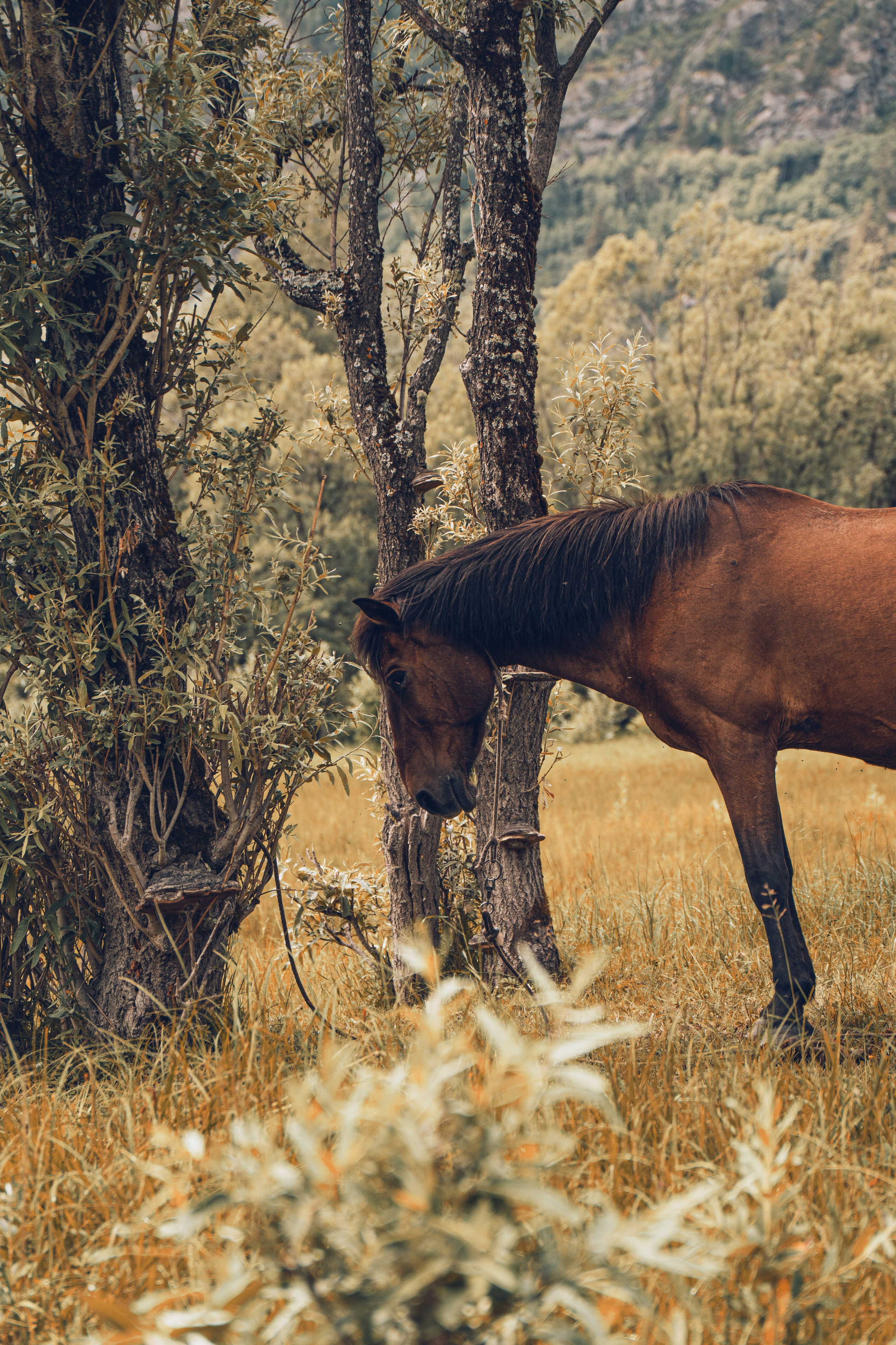 Алтай. Gusarov Travel Photography