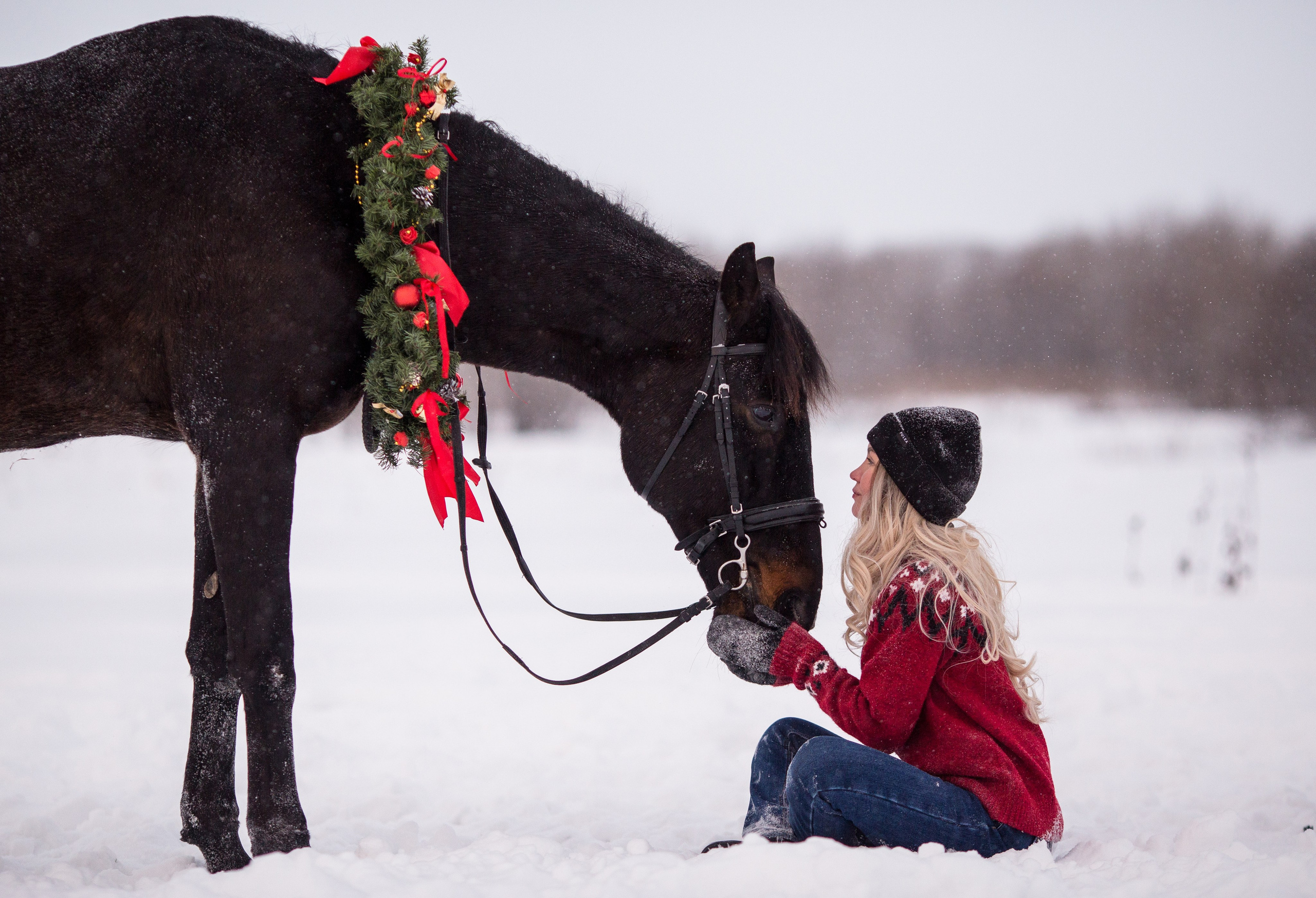 Новогодняя фотосессия с лошадью