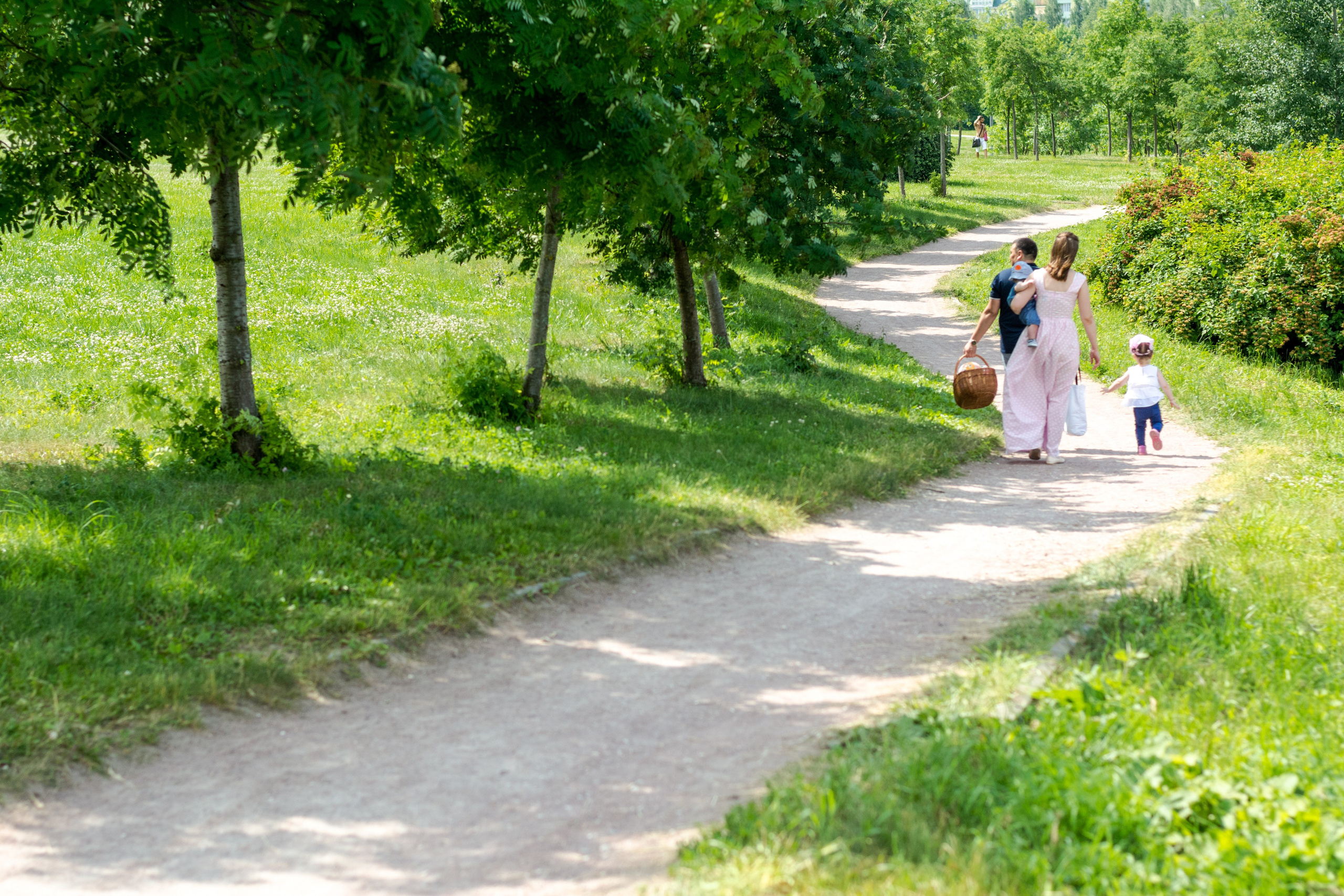 Романтика. Портфолио фотографа Антона Скоцеляса