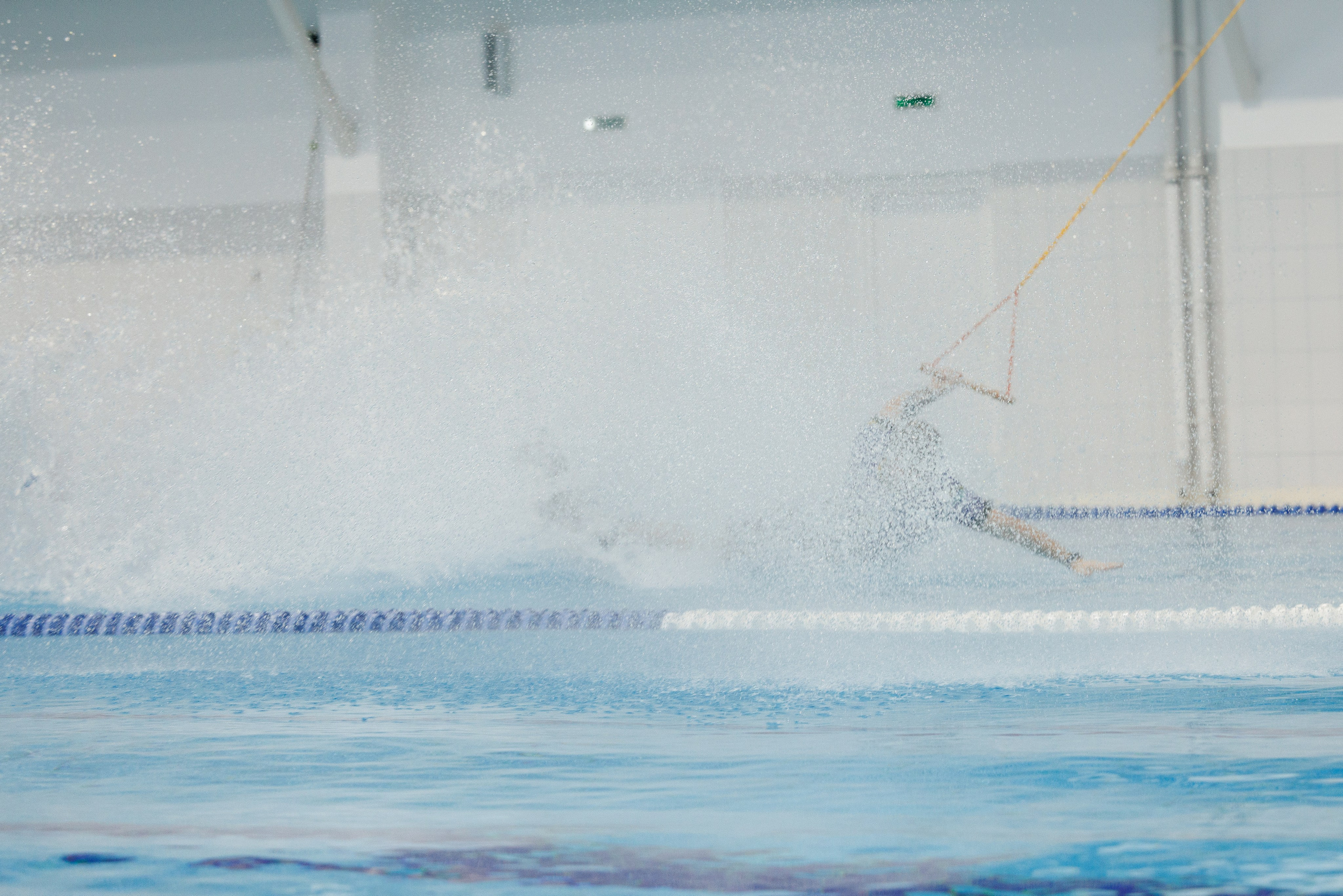 KWWCH 2024. Фотограф Александр Заломаев