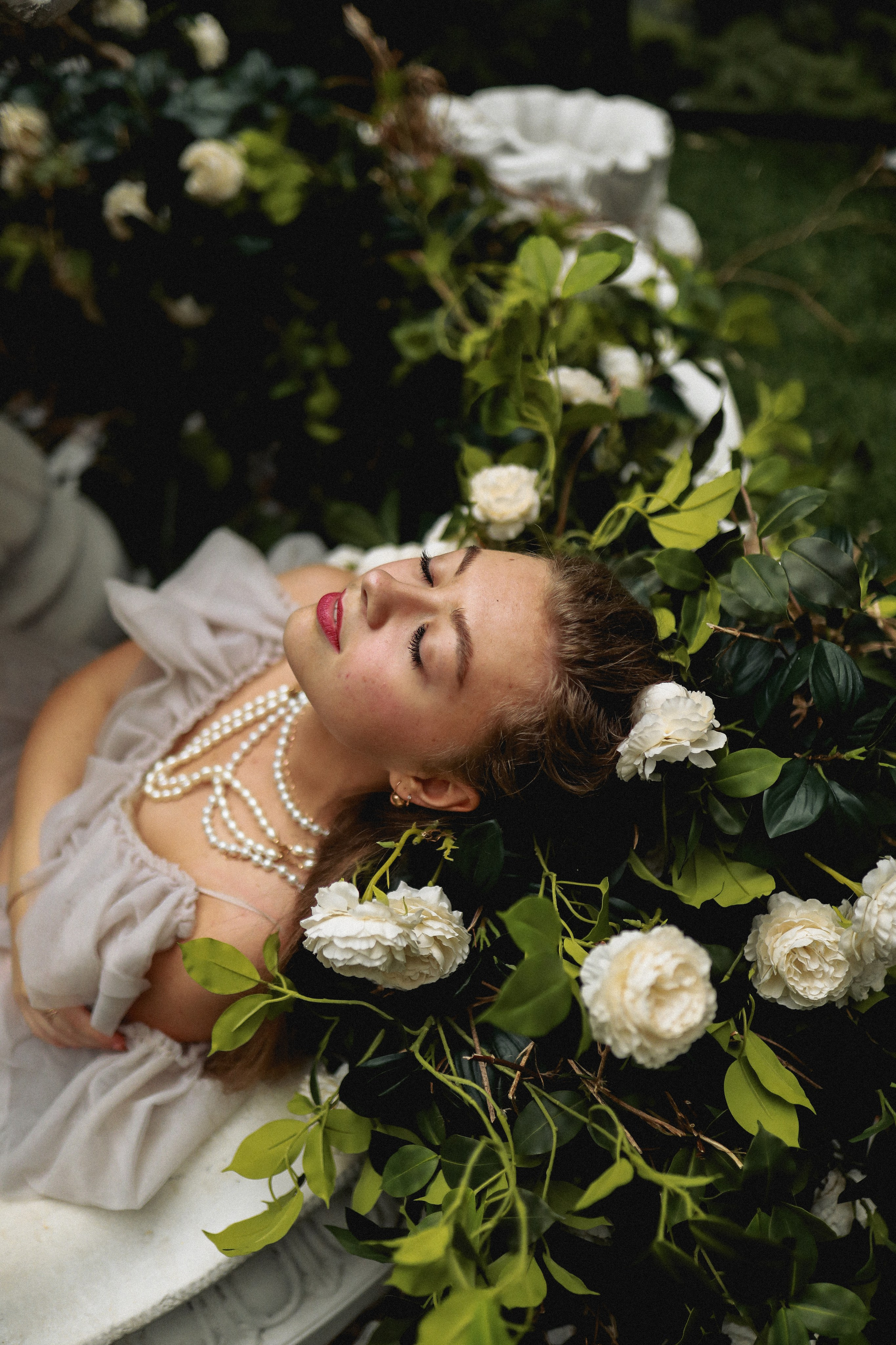 Зачарованный лес