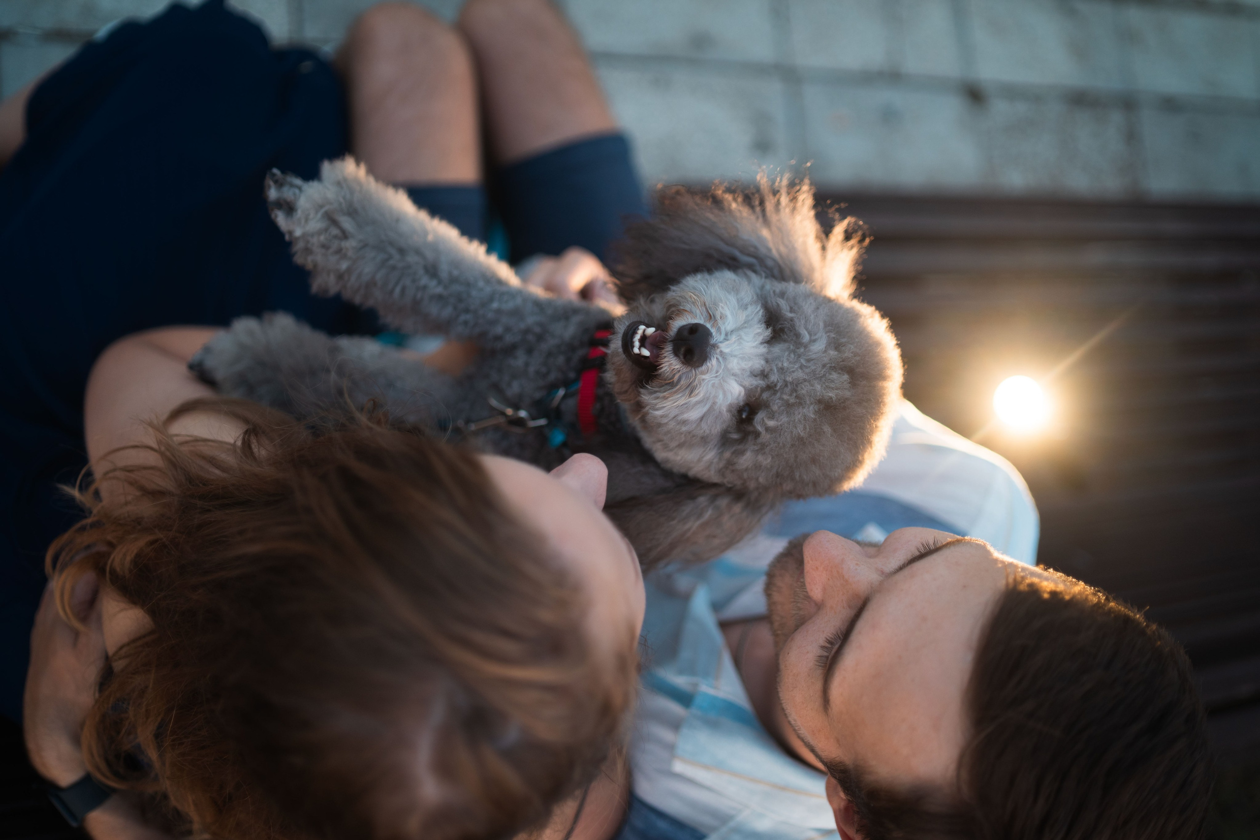 В Белграде на набережной. Фотограф анималист