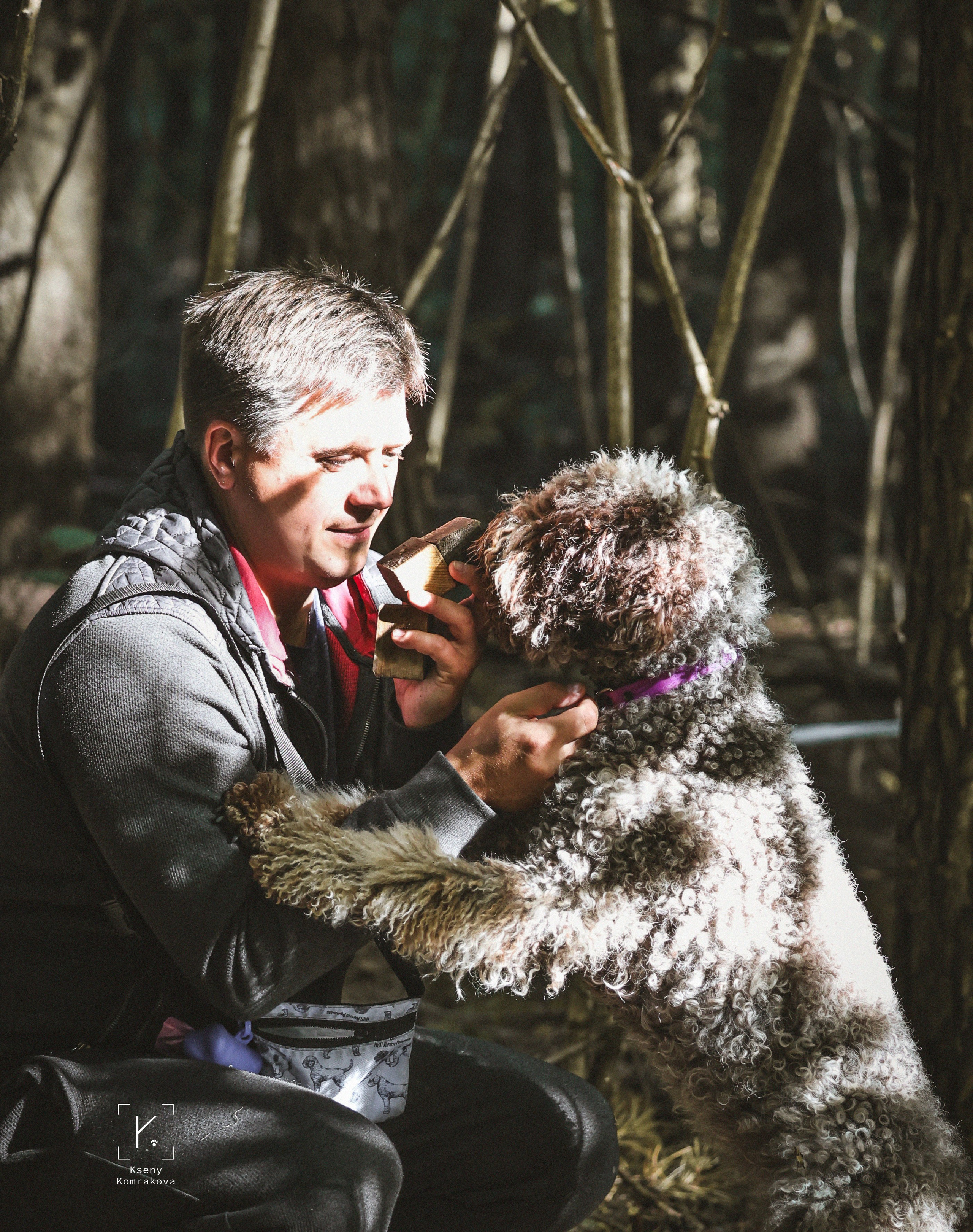 Съемка собак. Анималистика. Репортаж. Индивидуальная съемка