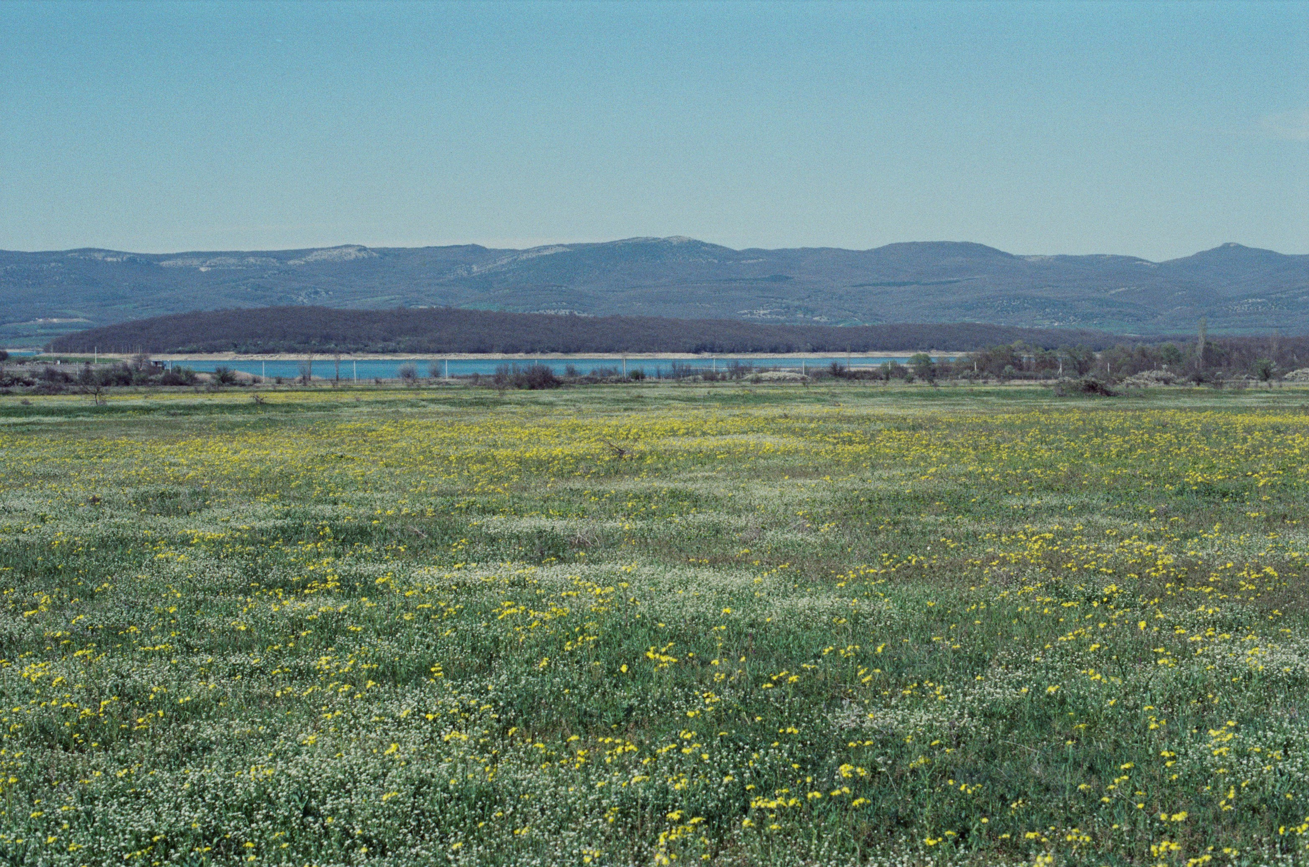 Some kind of madness // ukraine, crimea III. EVER EXPOSED