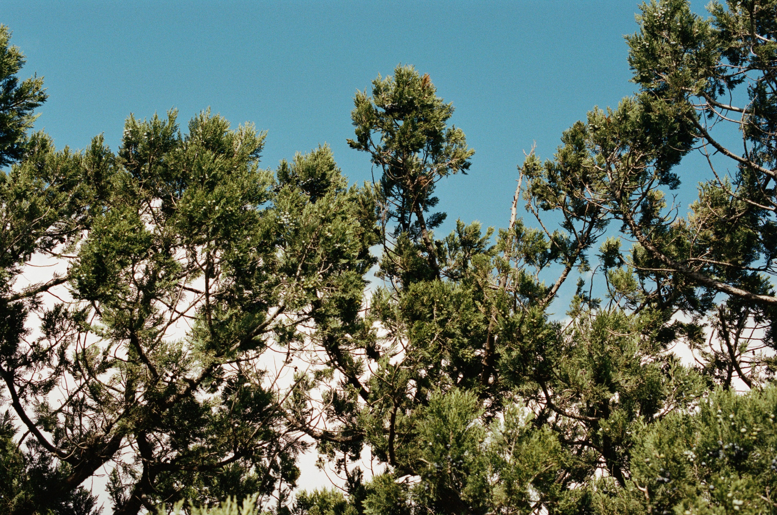 This time // ukraine, crimea VI. EVER EXPOSED