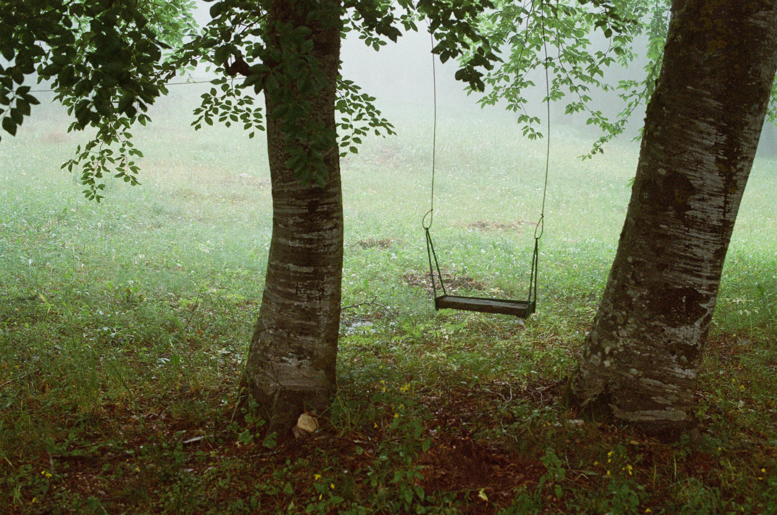 Dig it // ukraine, crimea III. EVER EXPOSED