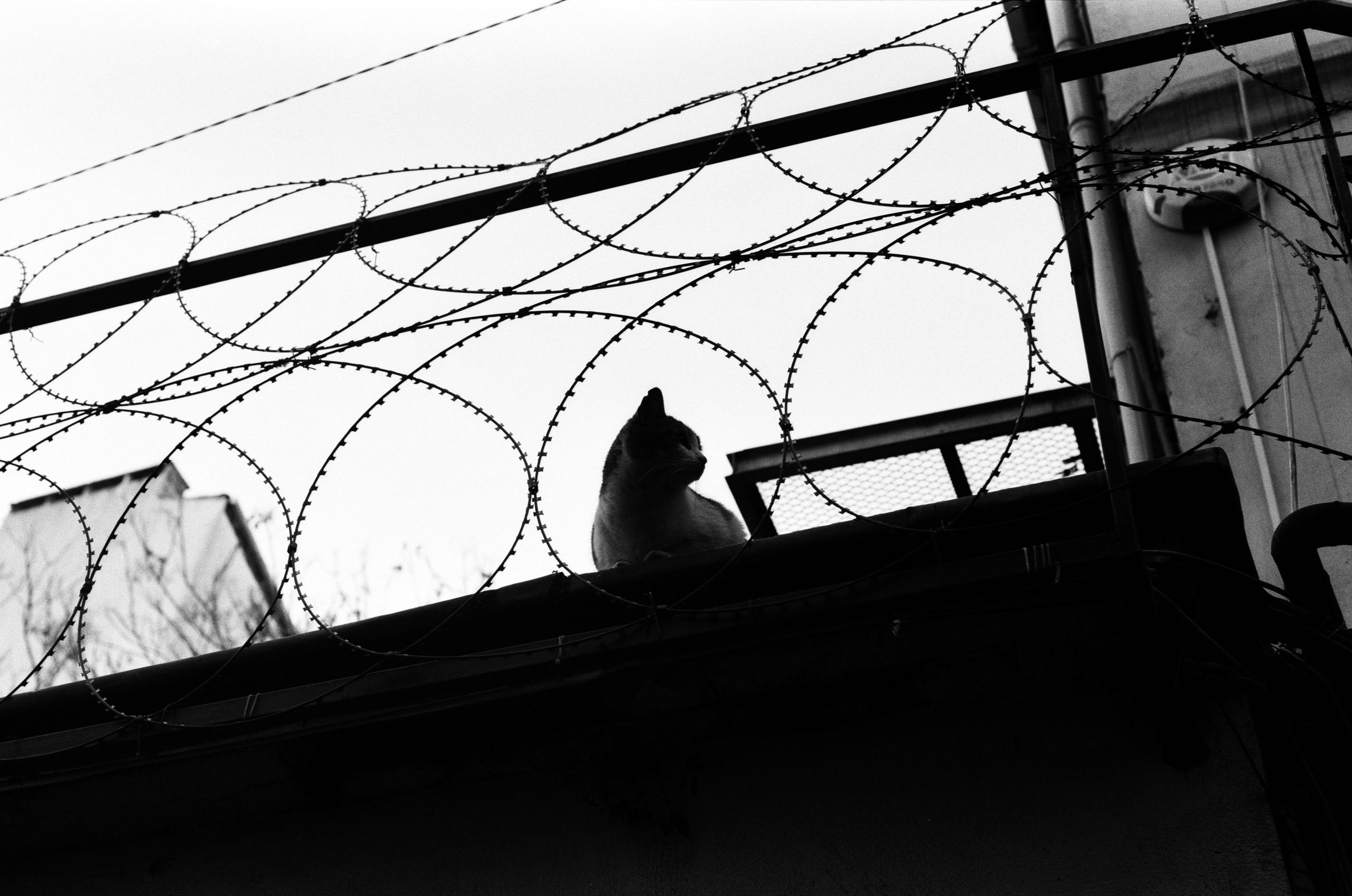 Complicated // turkey, istanbul V. EVER EXPOSED