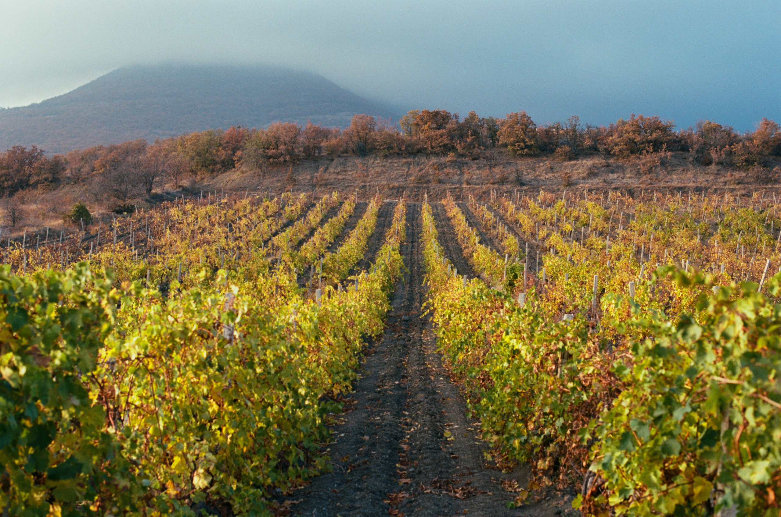 Wherever you will go // ukraine, crimea II. EVER EXPOSED