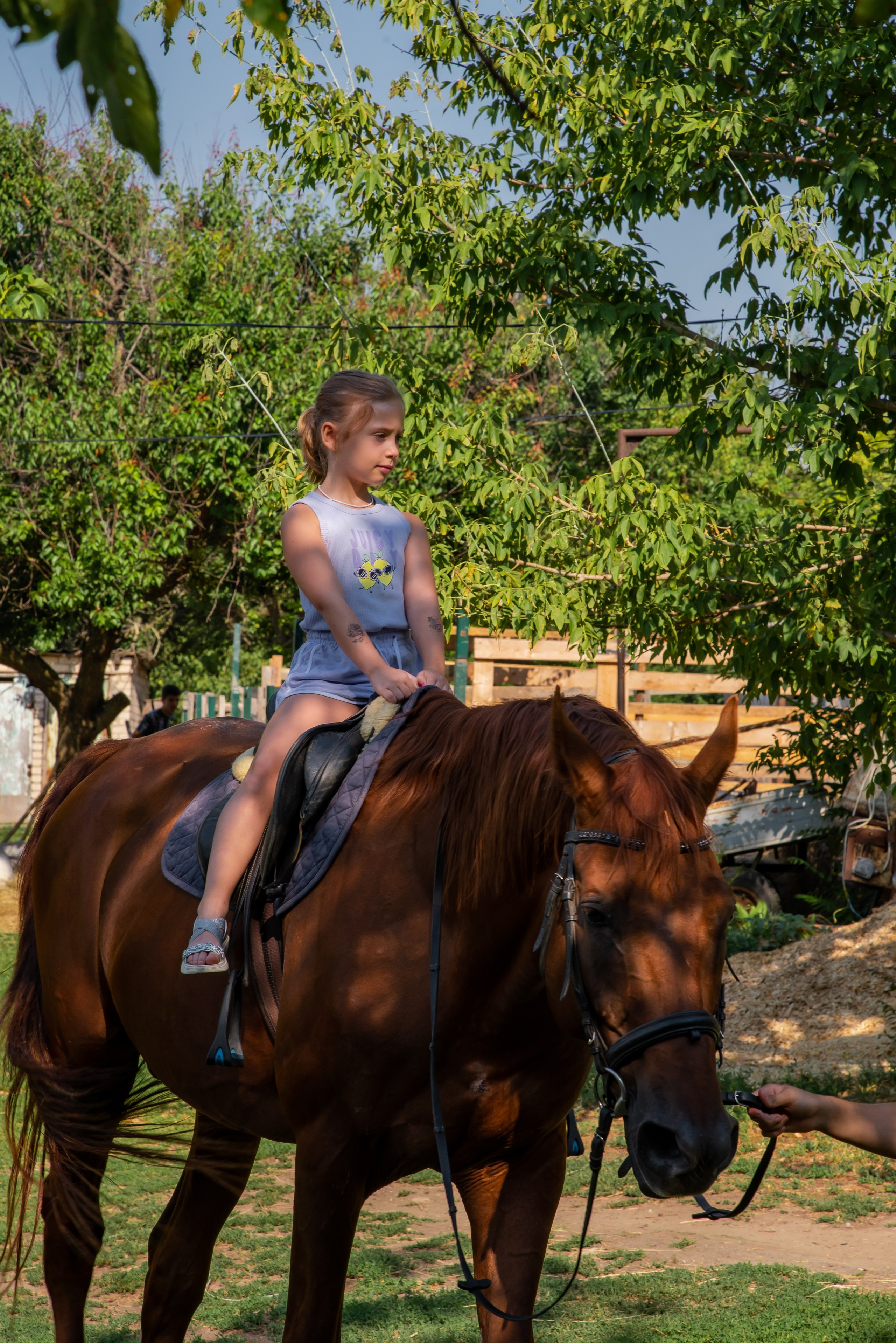 Конная прогулка. Фотограф Галина Нестерова