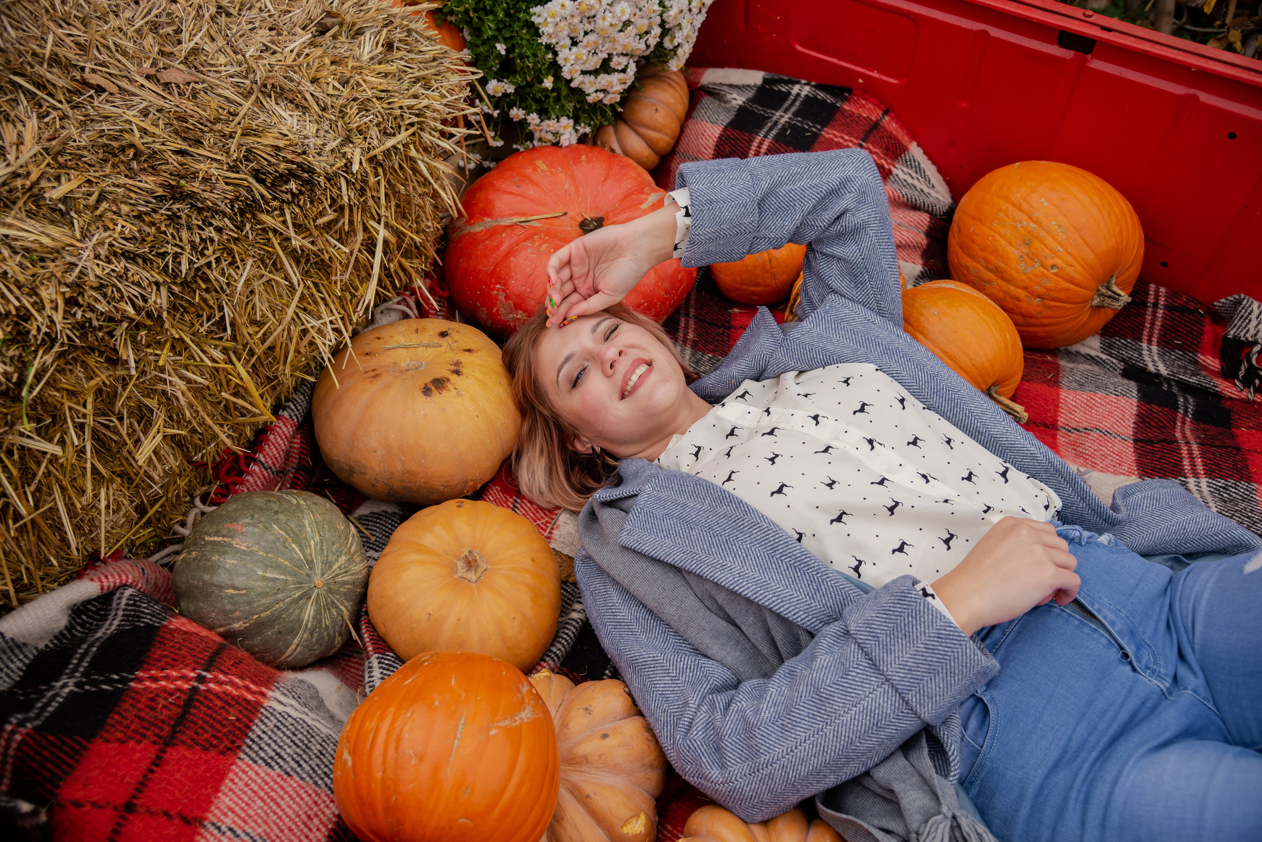 Авакадо. Фотограф Галина Нестерова