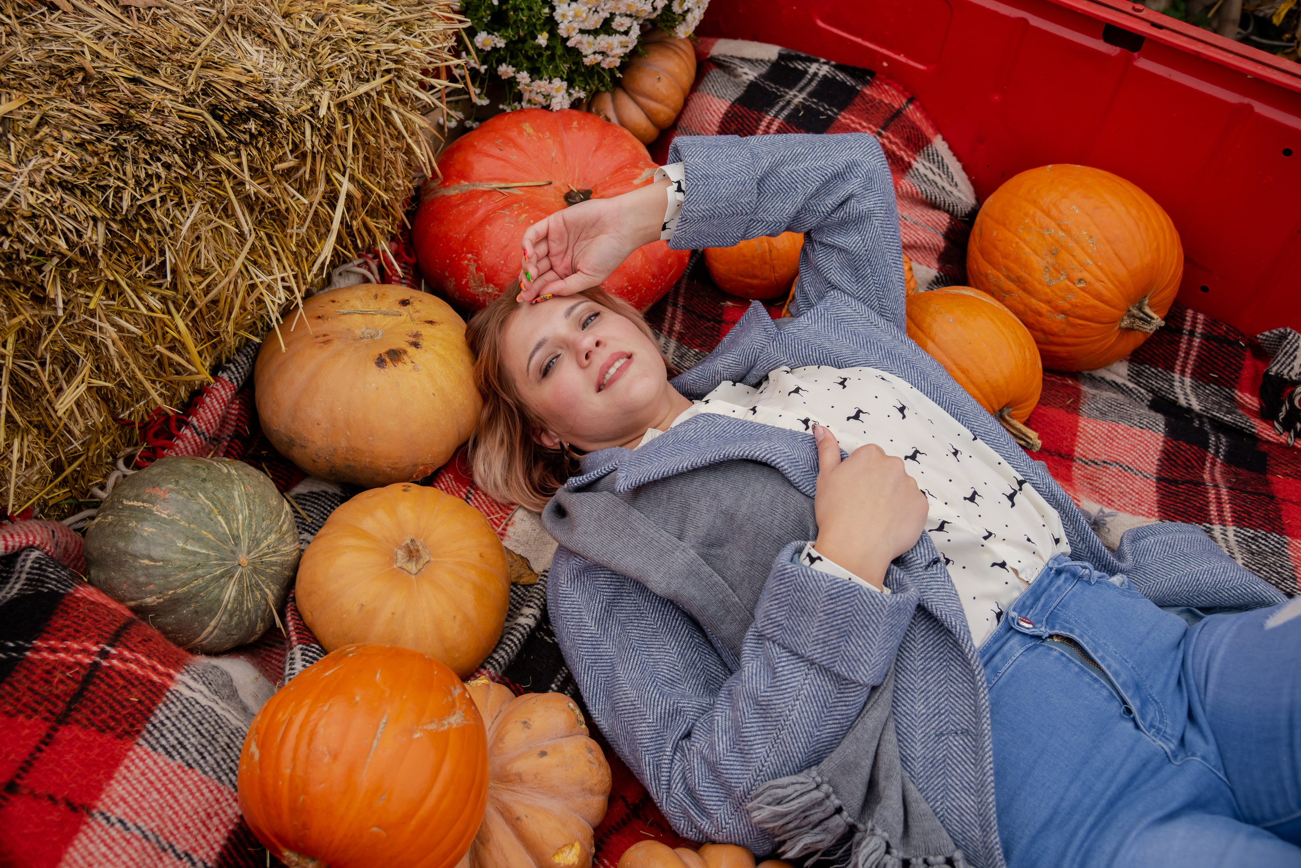 Авакадо. Фотограф Галина Нестерова