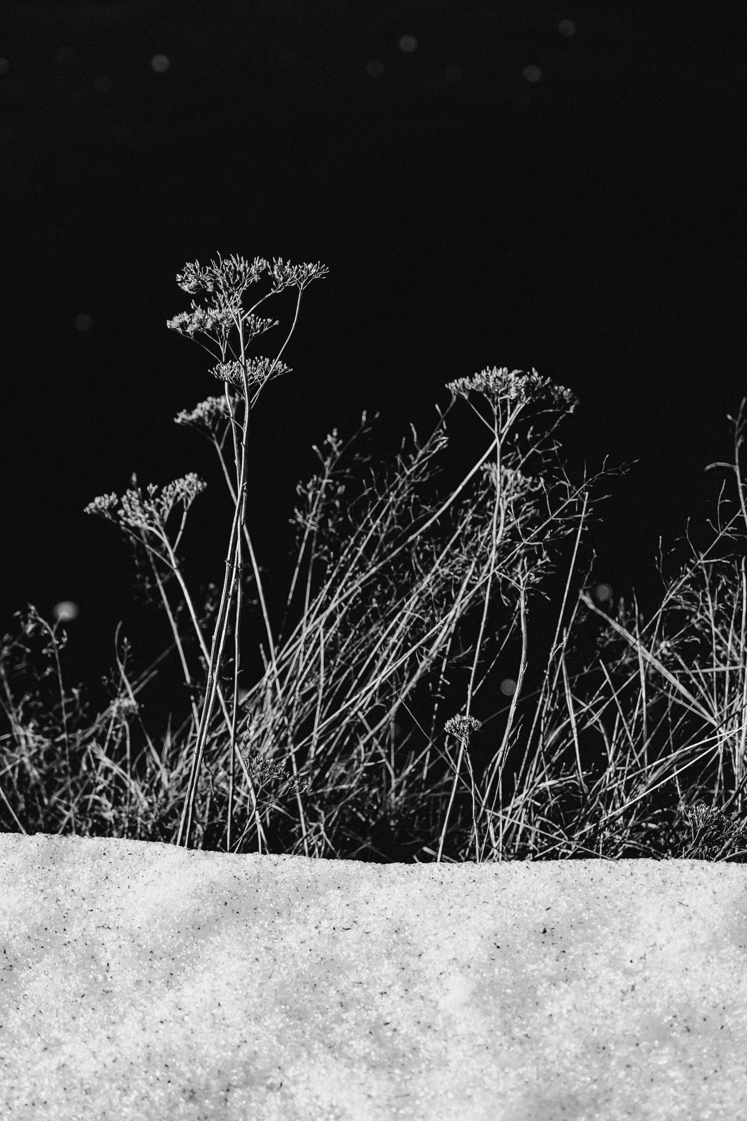 Стрит. Molotov Photographer