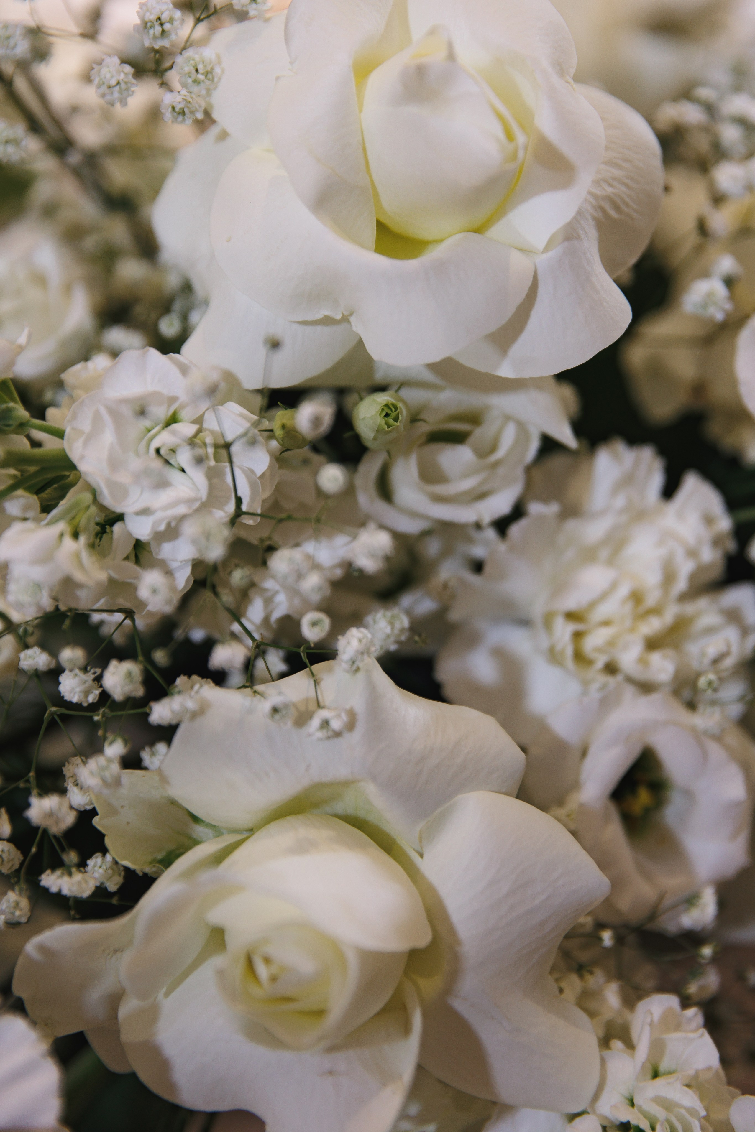 Вячеслав и Варвара. Wedding photographer in St. Petersburg, Europe and Israel Anna Agafon