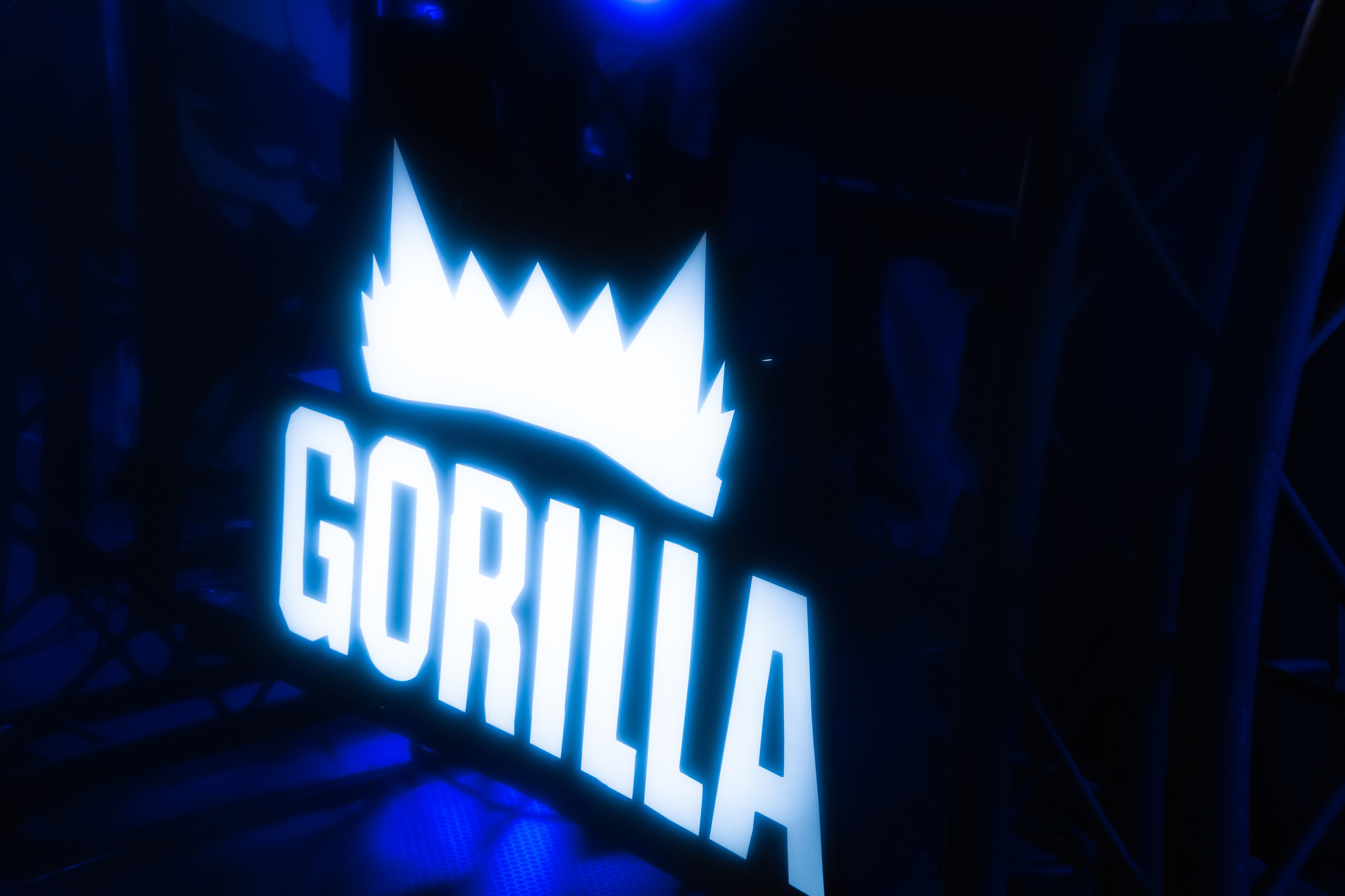 GORILLA GROOVE STAGE IMBA CAMP 5. Gorillaenergymedia