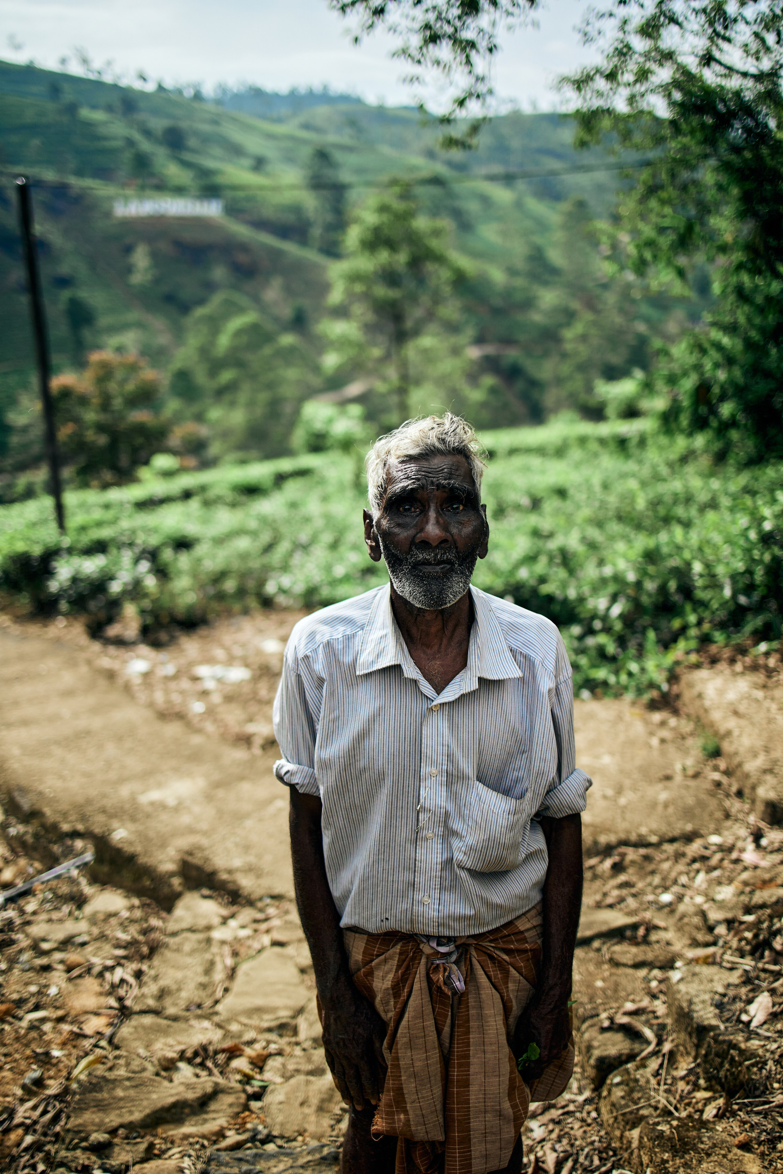 Шри-Ланка. Хороший репортажный и промышленный фотограф в Казани Алексей Щелконогов