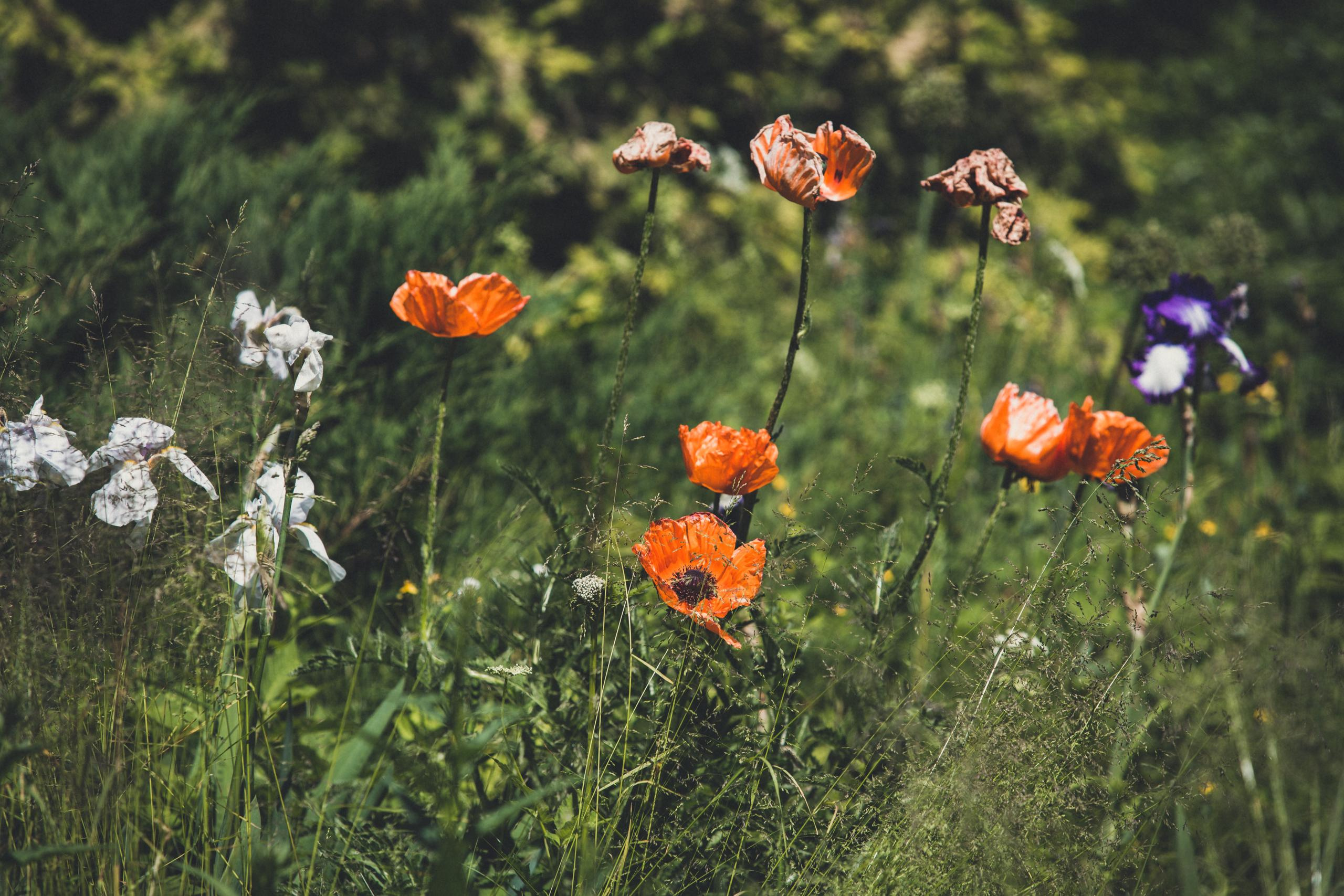 Зооботанический сад. Photographer Sonkina Tatiana (Tanya Ash)