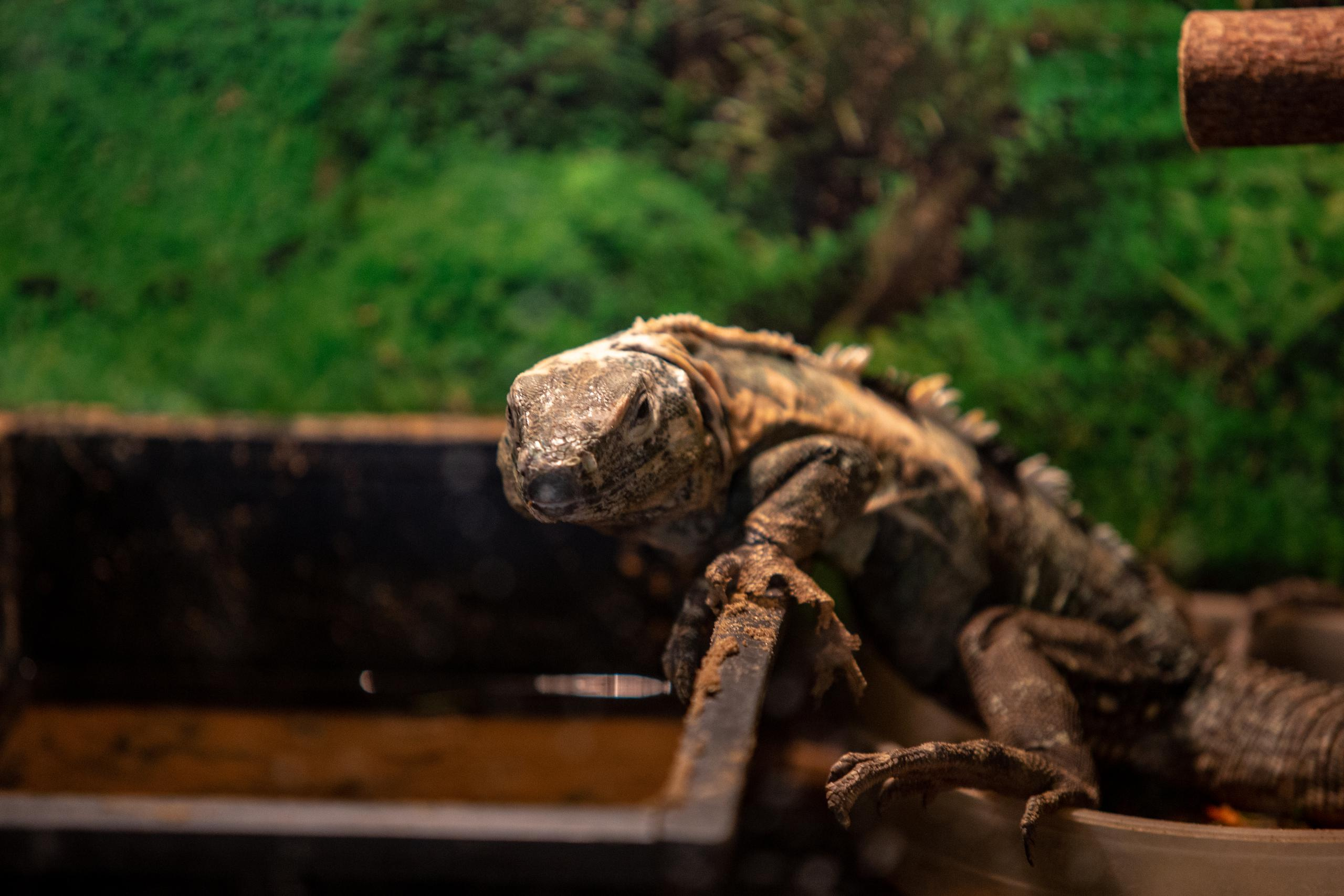 Зооботанический сад. Photographer Sonkina Tatiana (Tanya Ash)