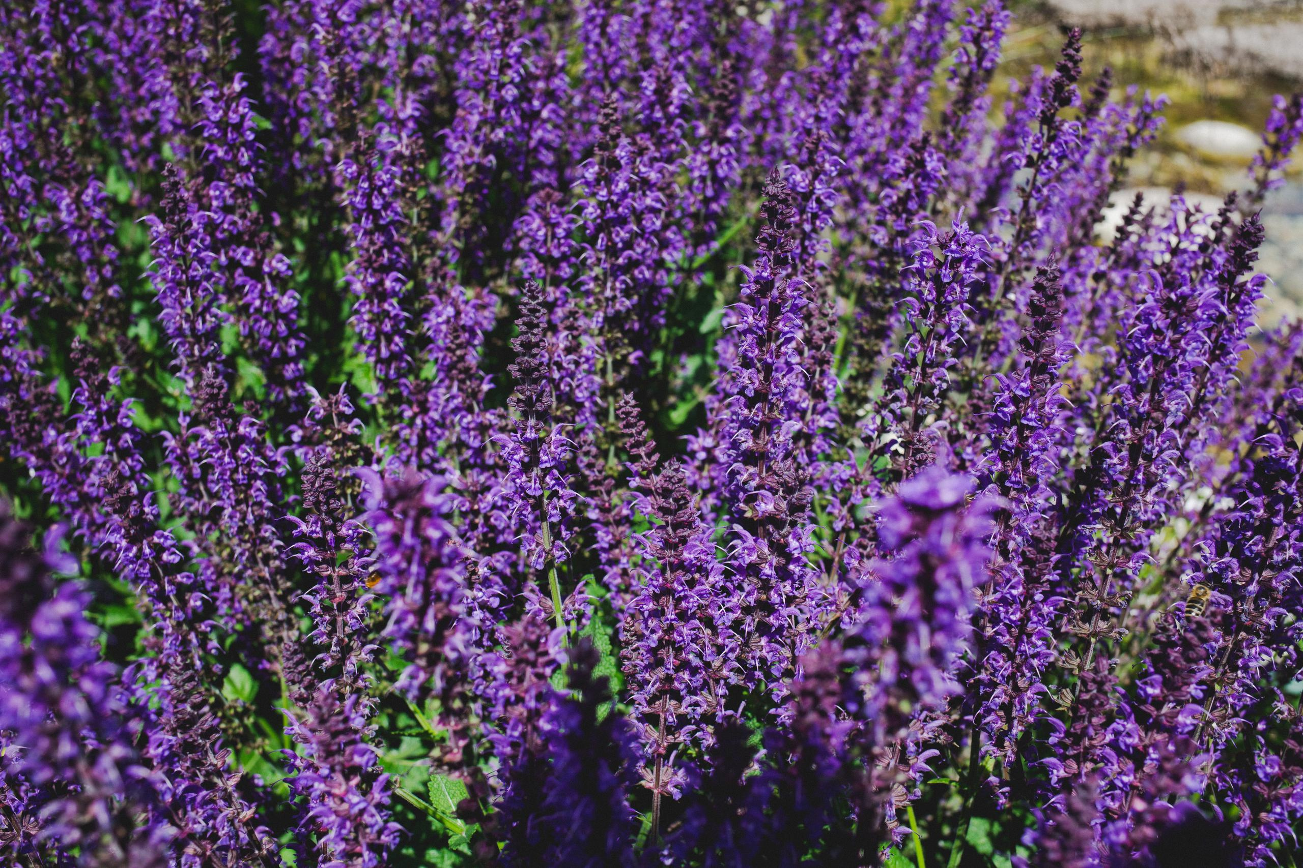 Казань. Photographer Sonkina Tatiana (Tanya Ash)