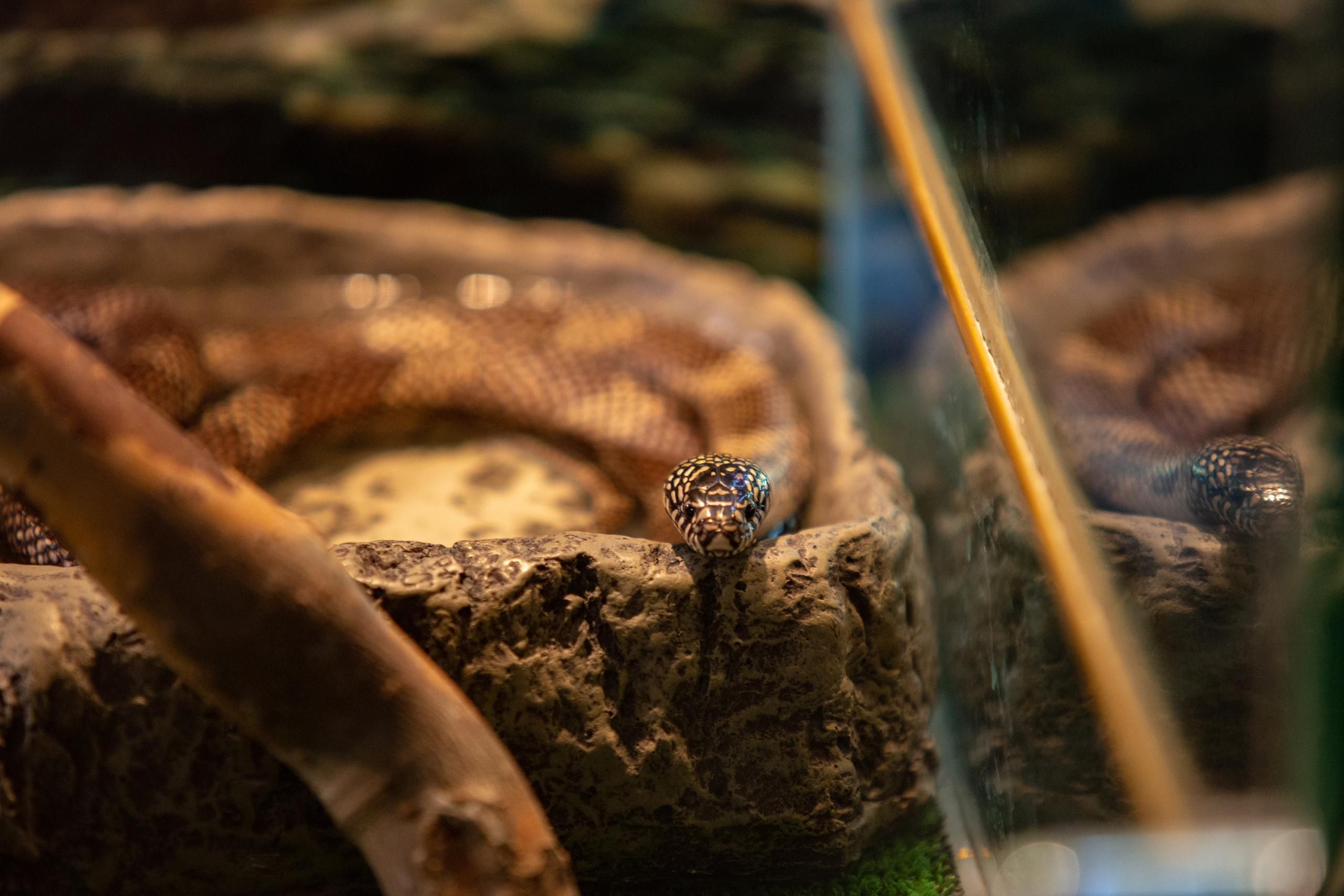 Зооботанический сад. Photographer Sonkina Tatiana (Tanya Ash)