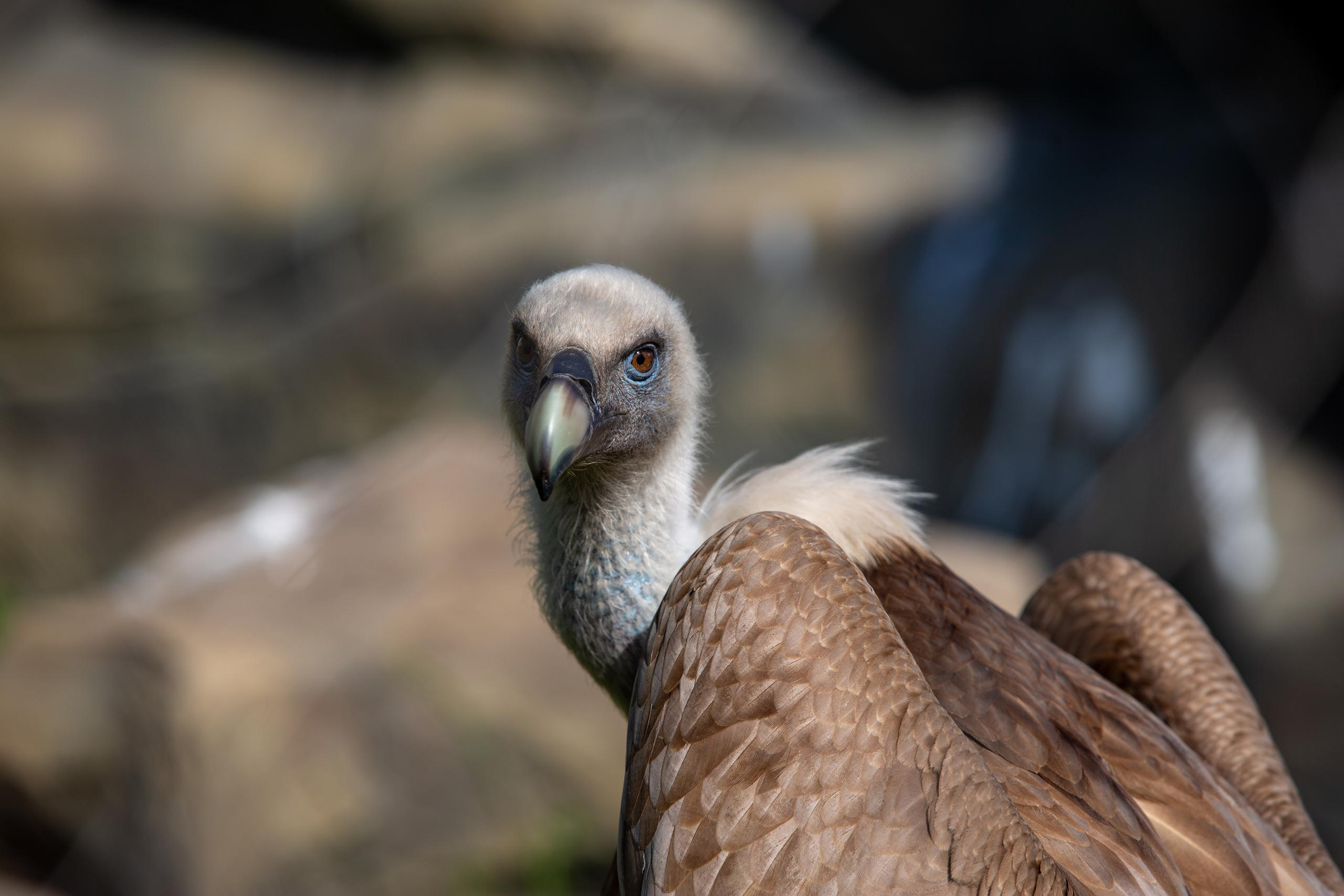 Зооботанический сад. Photographer Sonkina Tatiana (Tanya Ash)
