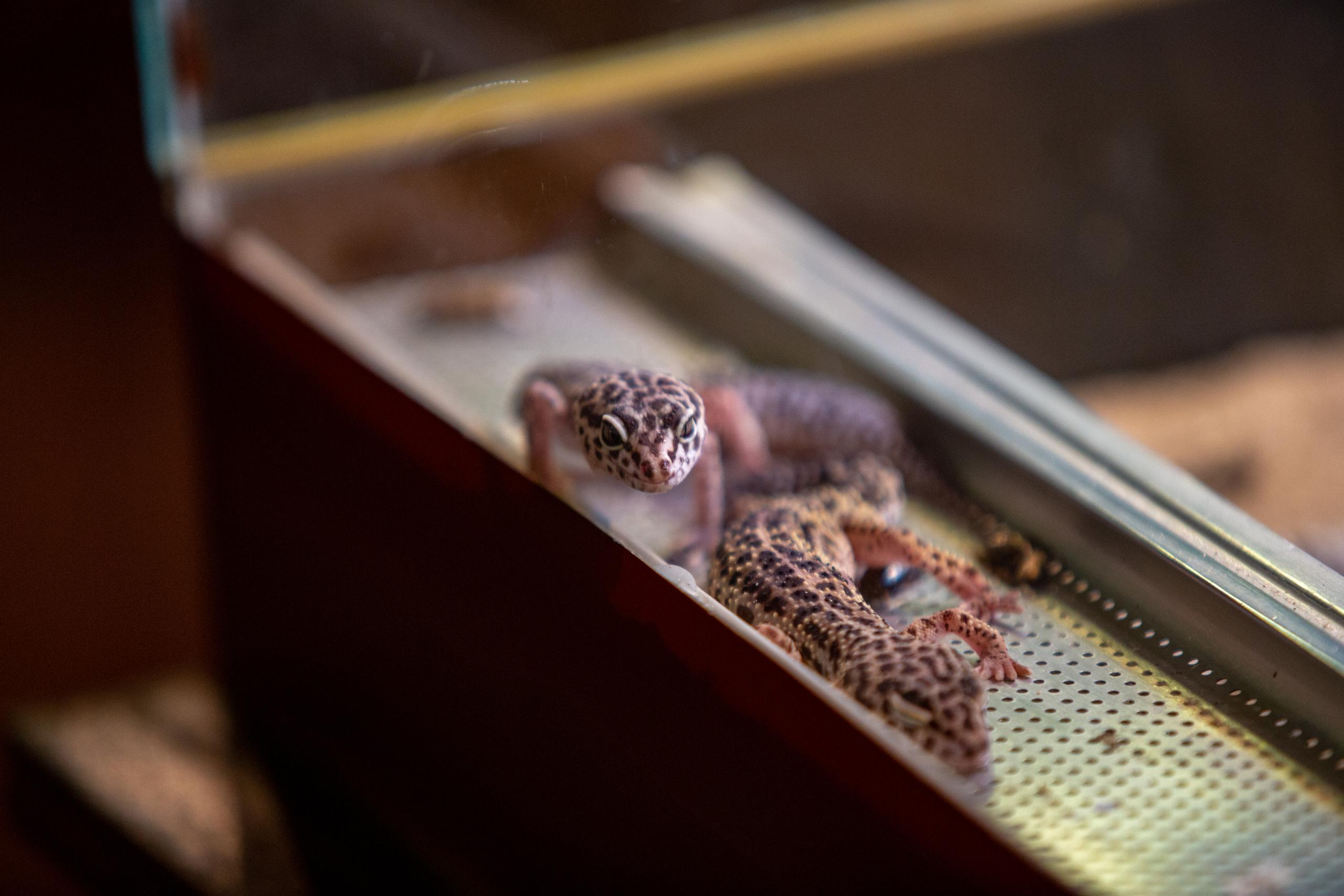 Зооботанический сад. Photographer Sonkina Tatiana (Tanya Ash)